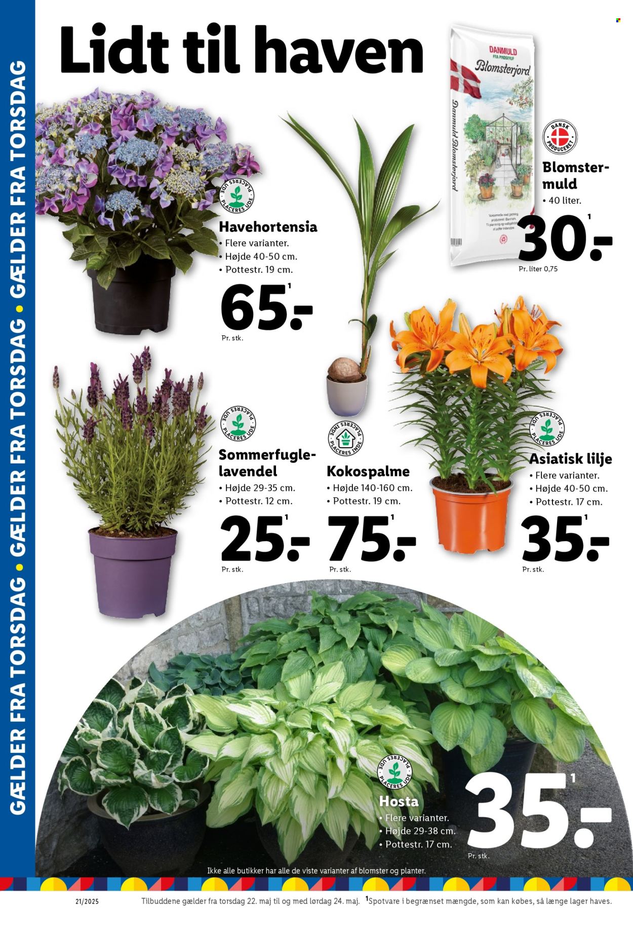 Lidl tilbud - 22.5.2025 - 24.5.2025. Side 9