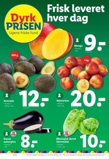 thumbnail - Økologisk dansk hjertesalat