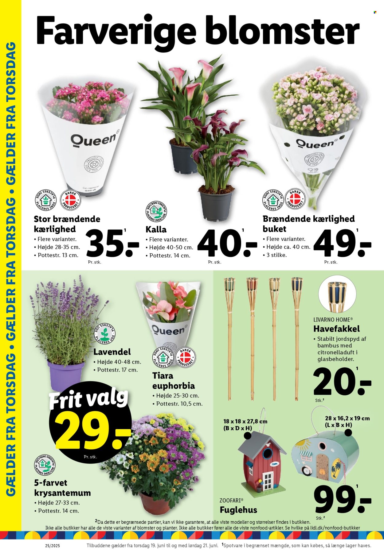 Lidl tilbud - 15.6.2025 - 21.6.2025. Side 36