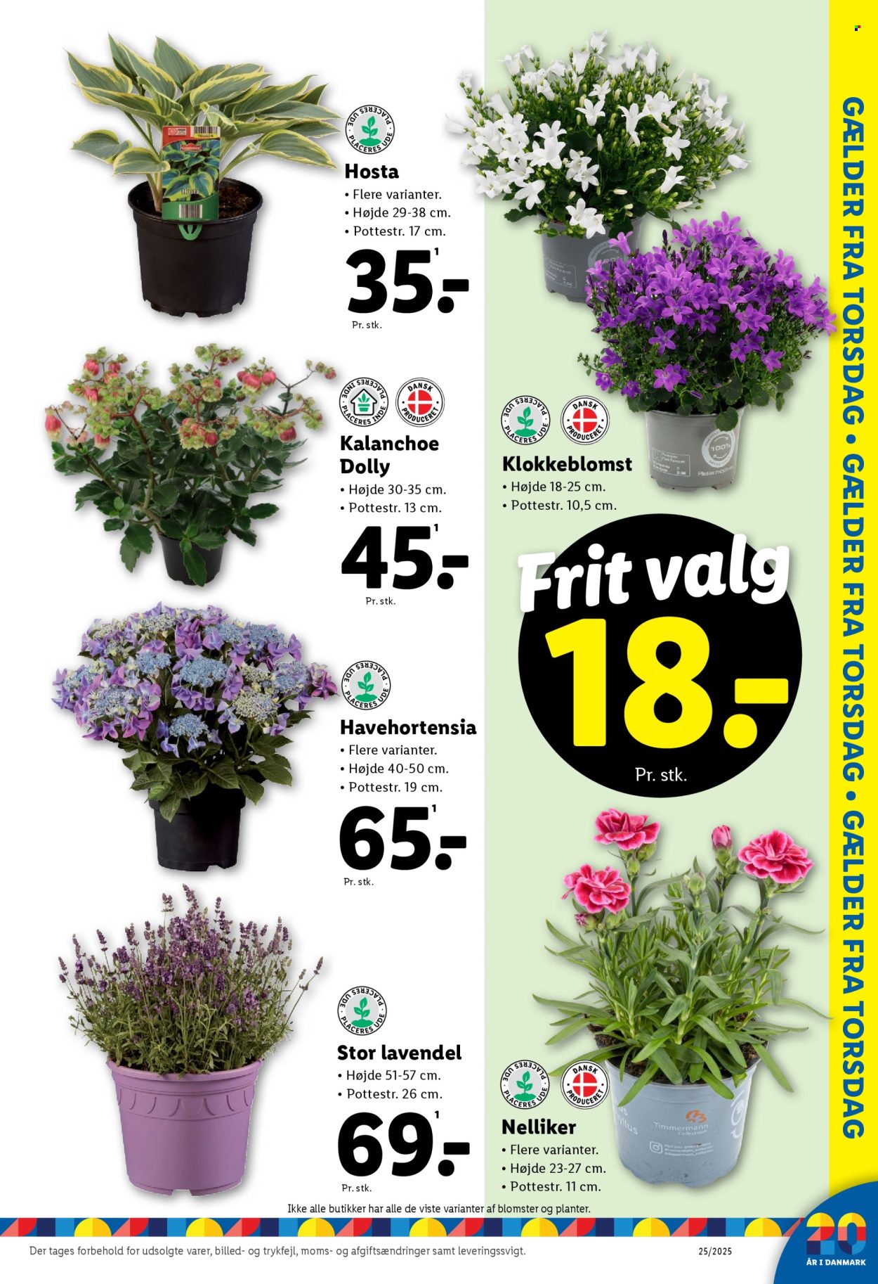 Lidl tilbud - 15.6.2025 - 21.6.2025. Side 37