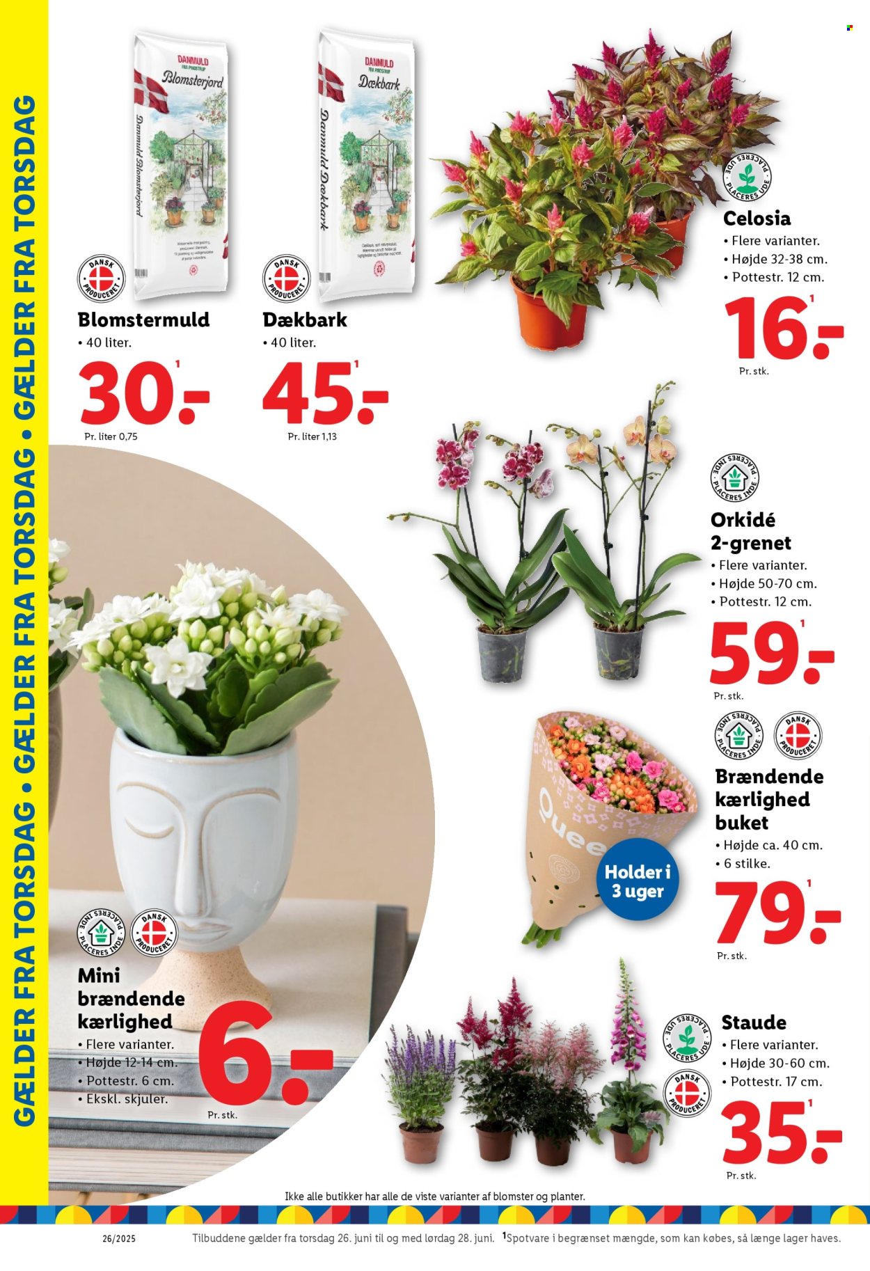Lidl tilbud - 22.6.2025 - 28.6.2025. Side 41