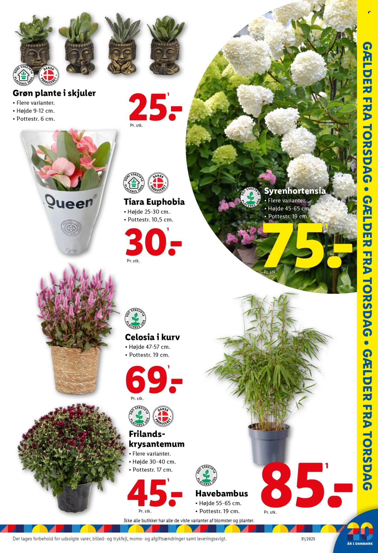 Lidl tilbud - 27.7.2025 - 2.8.2025. Side 36