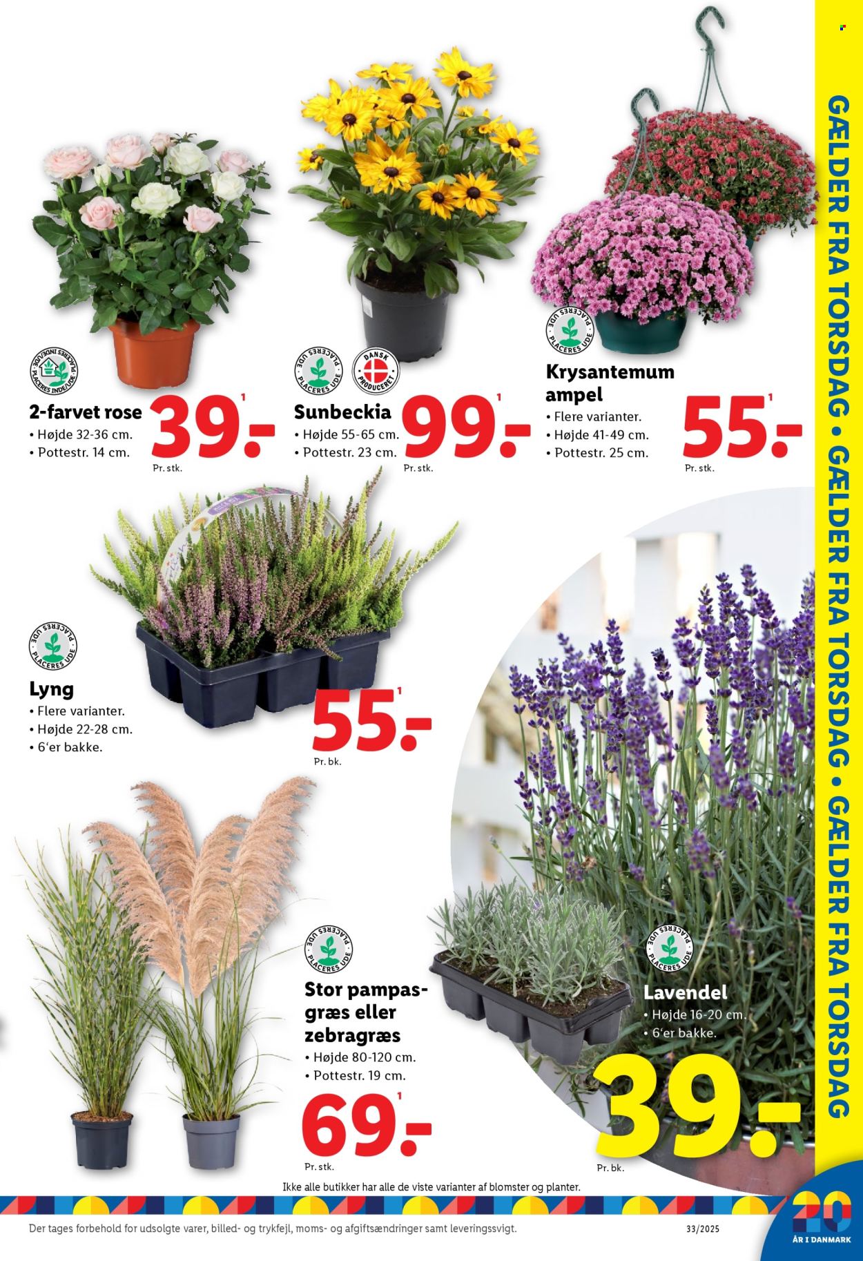 Lidl tilbud - 10.8.2025 - 16.8.2025. Side 25