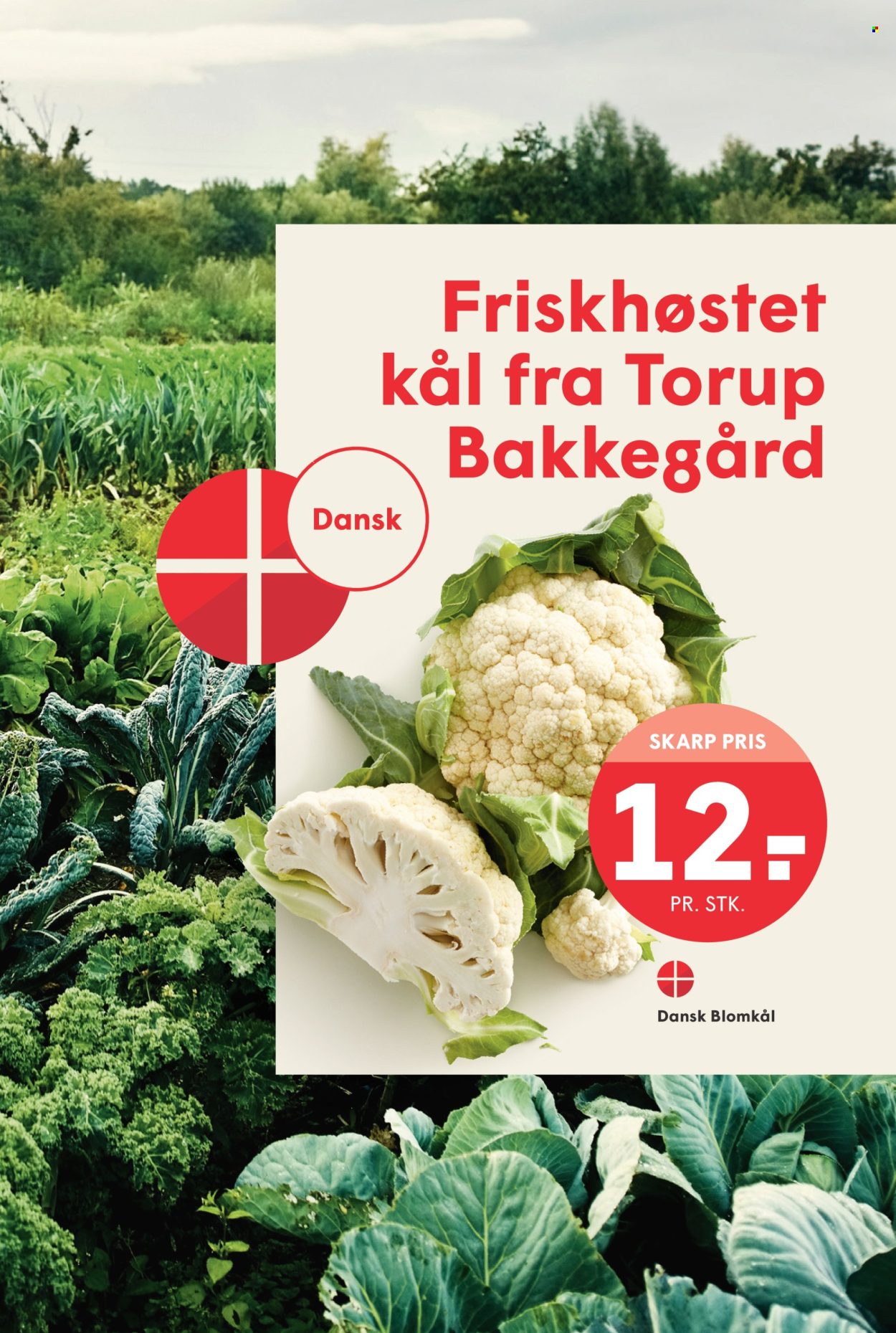 SPAR tilbud - 15.8.2025 - 21.8.2025. Side 7