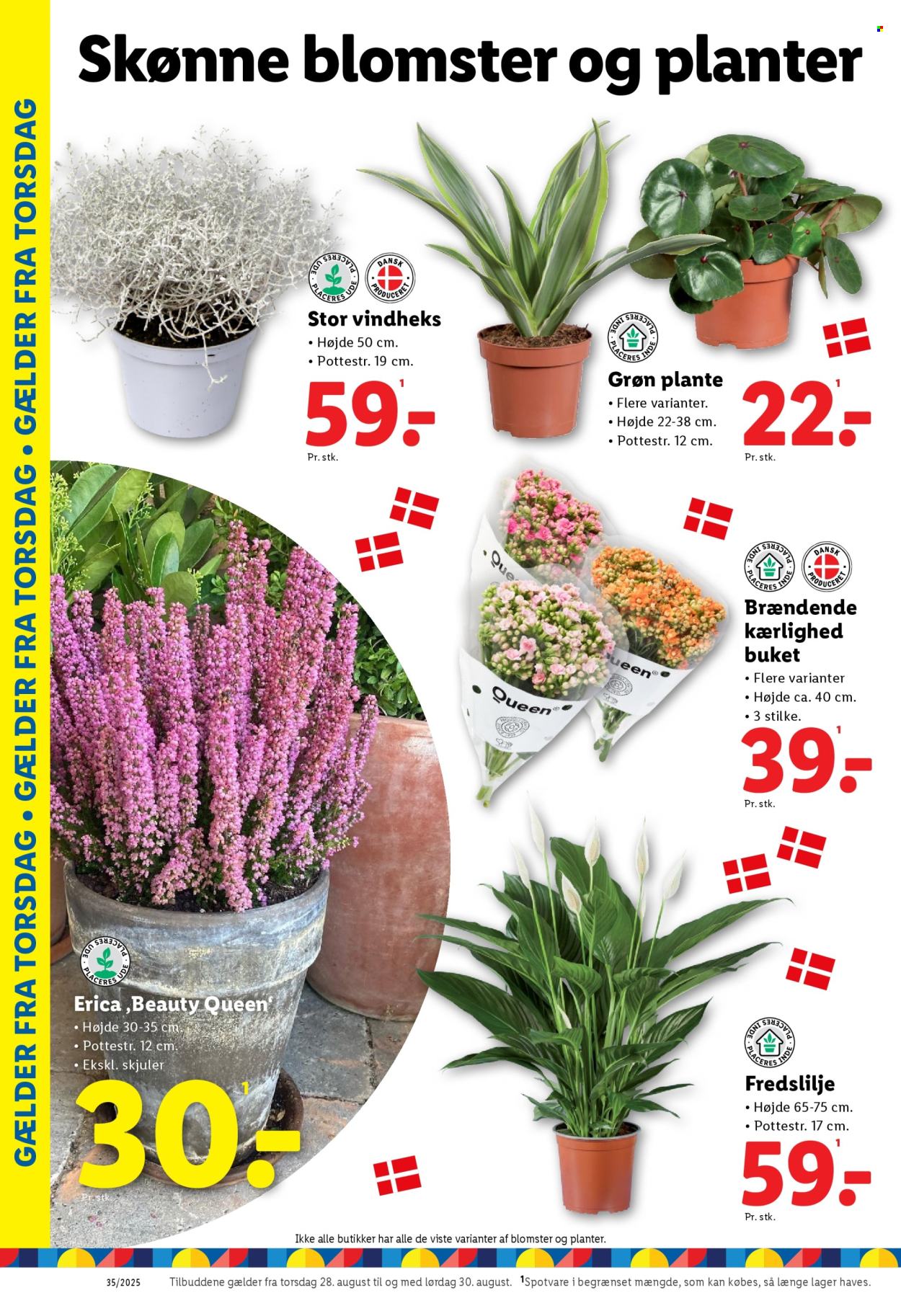 Lidl tilbud - 24.8.2025 - 30.8.2025. Side 32