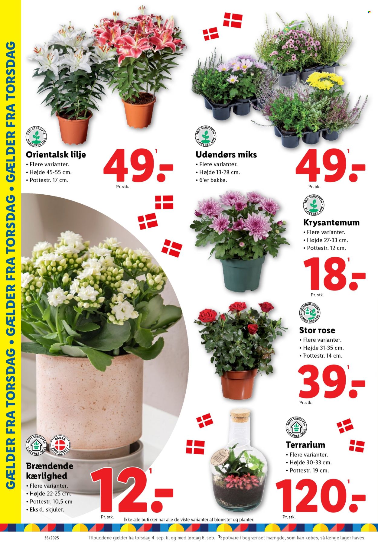Lidl tilbud - 31.8.2025 - 6.9.2025. Side 34