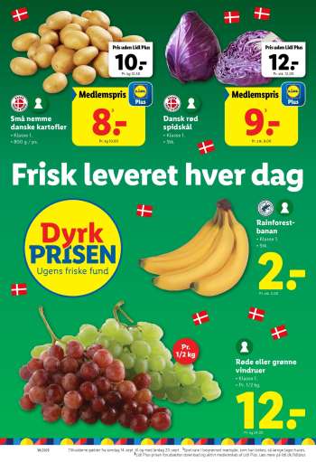 thumbnail - Dansk rød spidskål