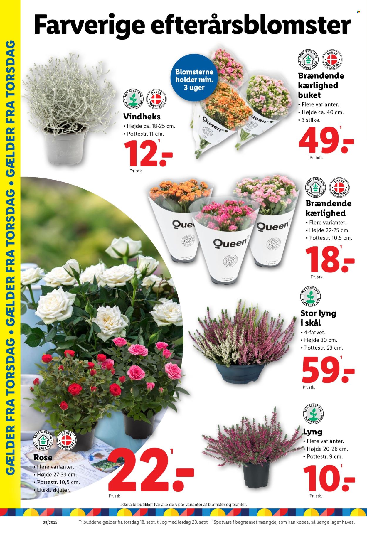 Lidl tilbud - 14.9.2025 - 20.9.2025. Side 26