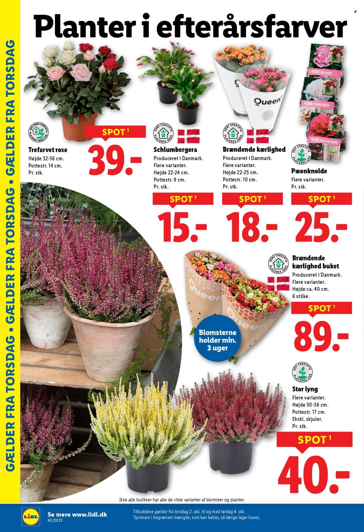 Lidl tilbud - 28.9.2025 - 4.10.2025. Side 30