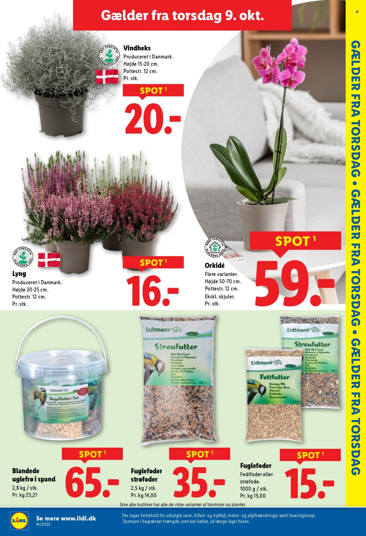 Lidl tilbud - 5.10.2025 - 11.10.2025. Side 29