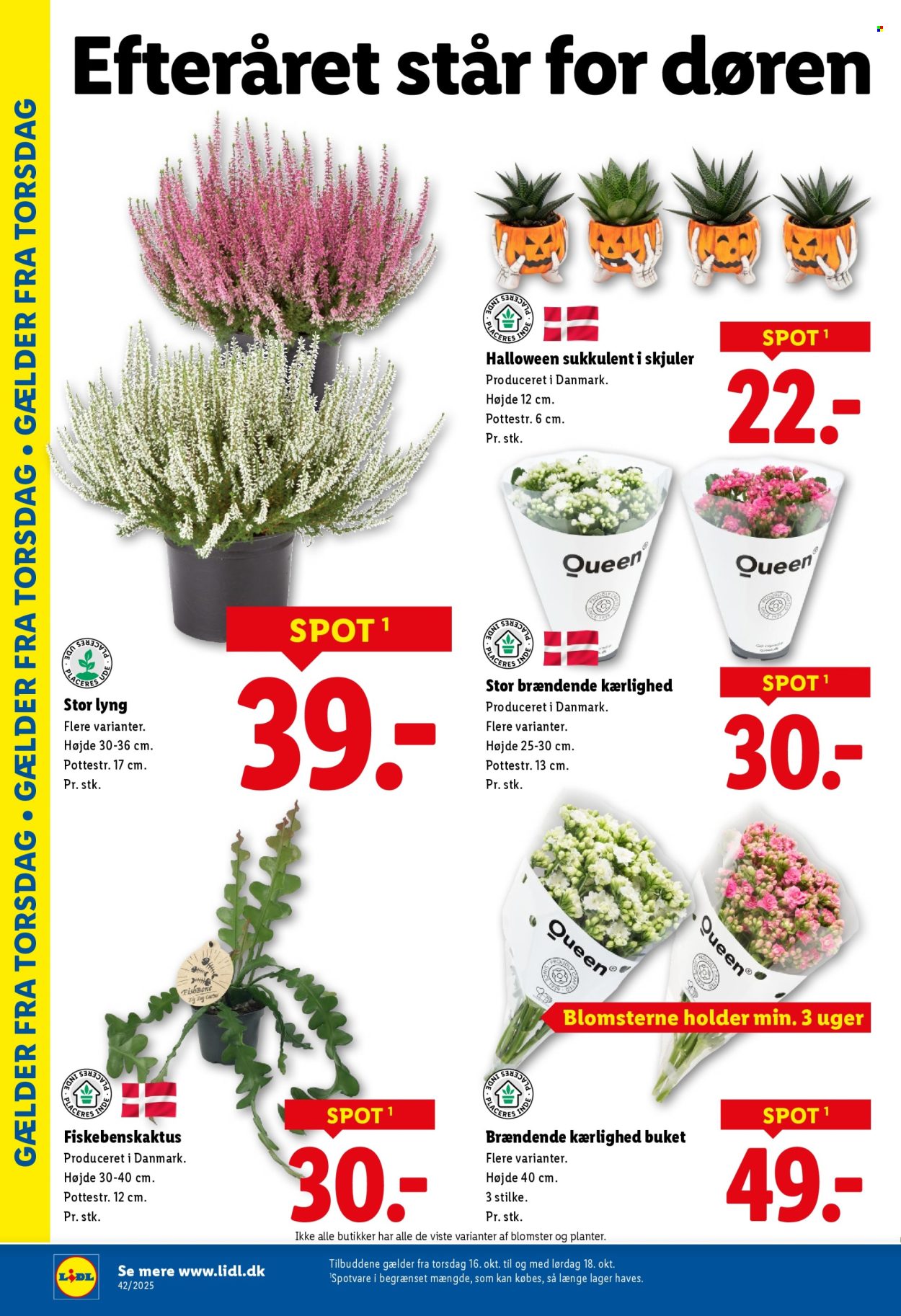 Lidl tilbud - 12.10.2025 - 18.10.2025. Side 28