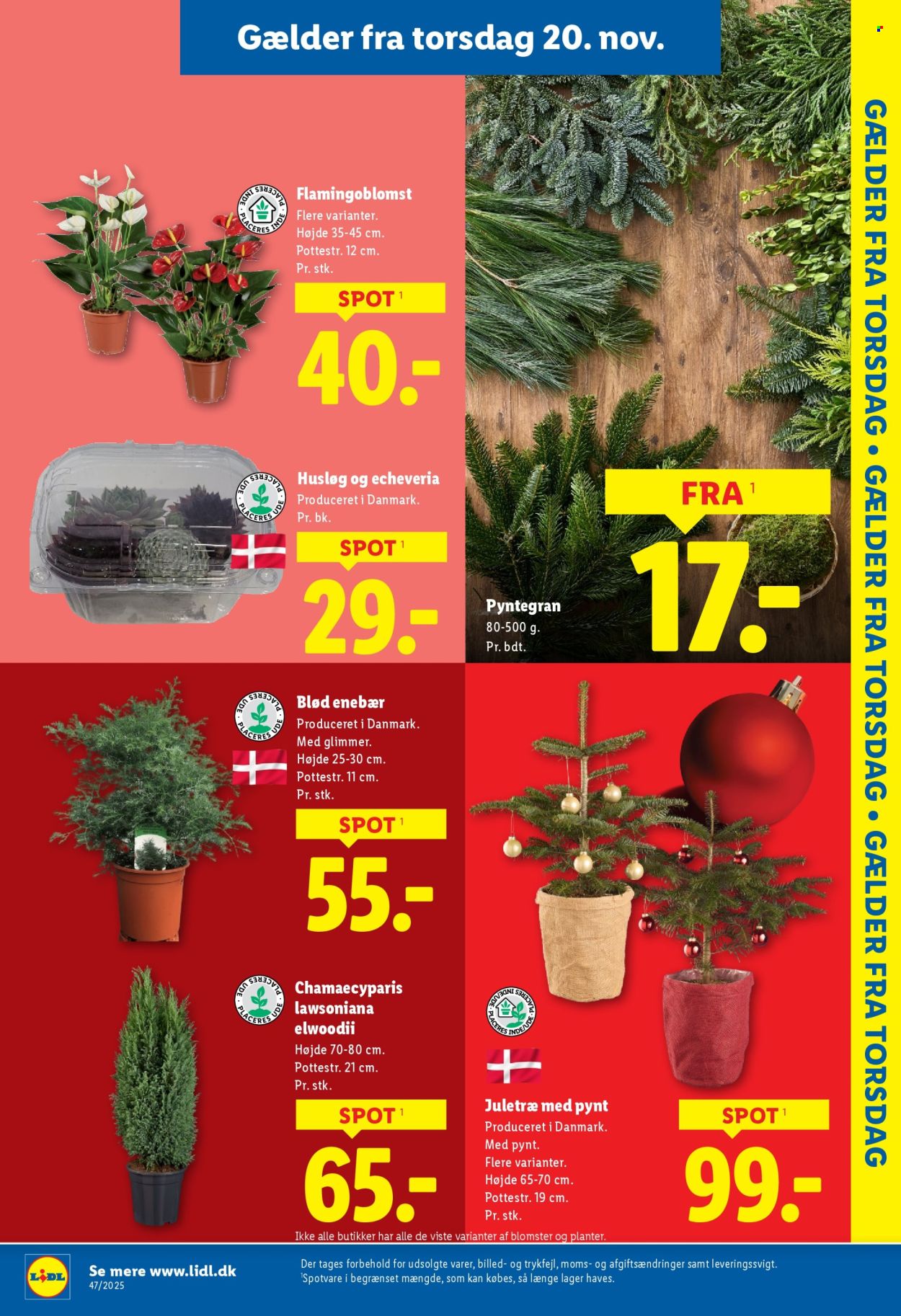 Lidl tilbud - 16.11.2025 - 22.11.2025. Side 31