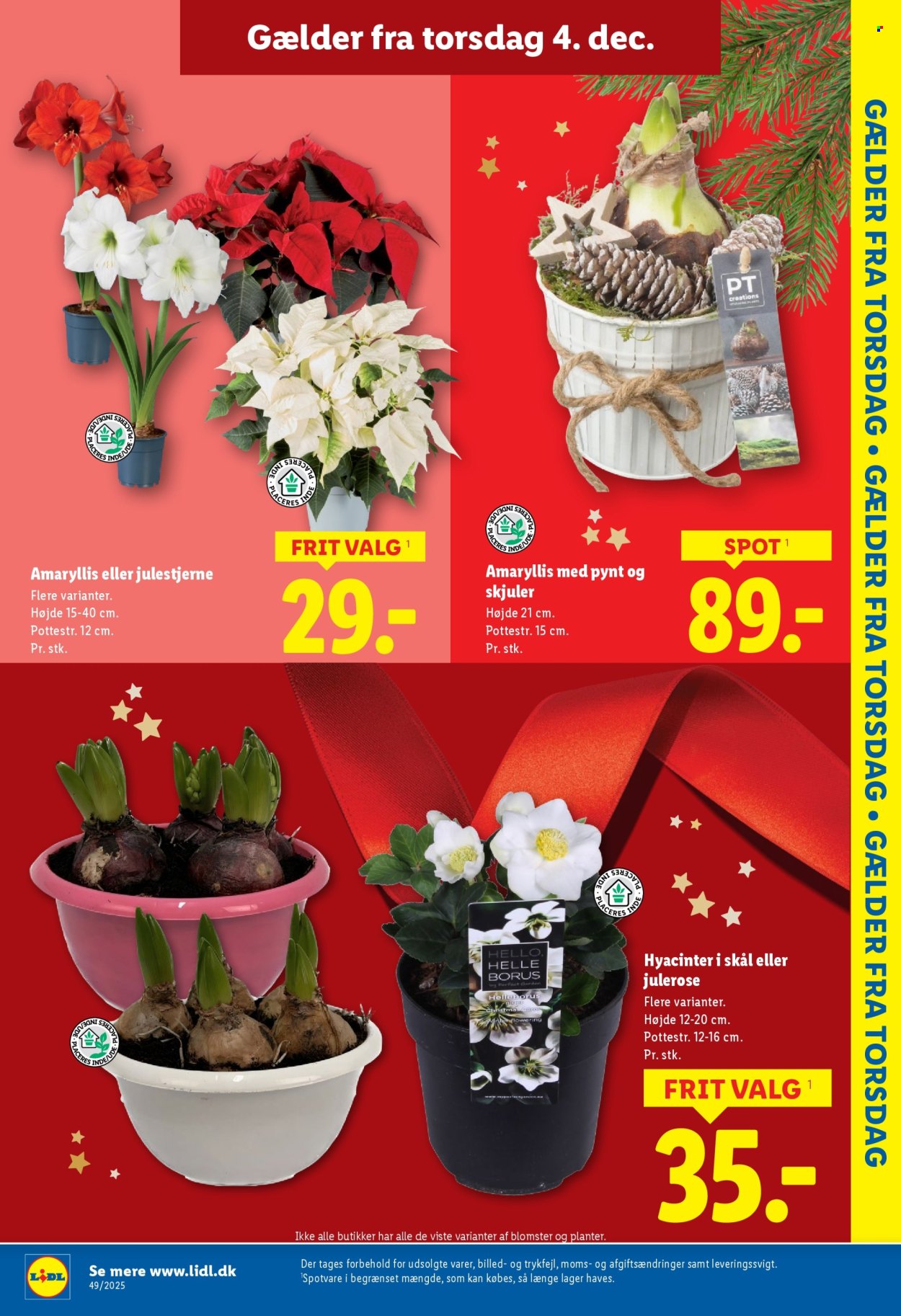 Lidl tilbud - 30.11.2025 - 6.12.2025. Side 13