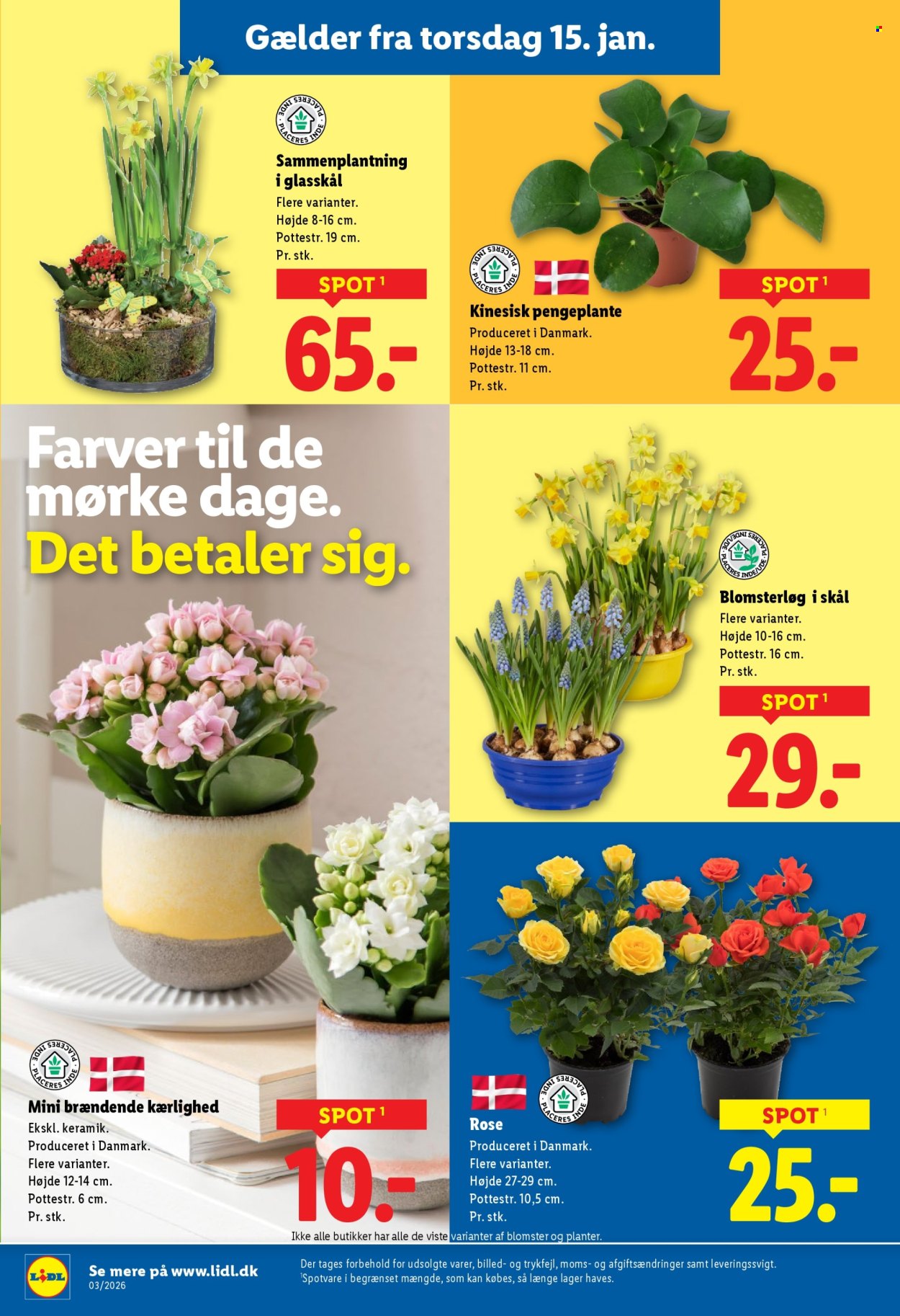 Lidl tilbud - 11.1.2026 - 17.1.2026. Side 33