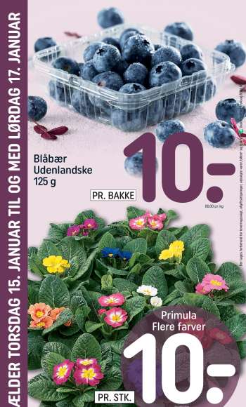 thumbnail - Blåbær Udenlandske 125 g