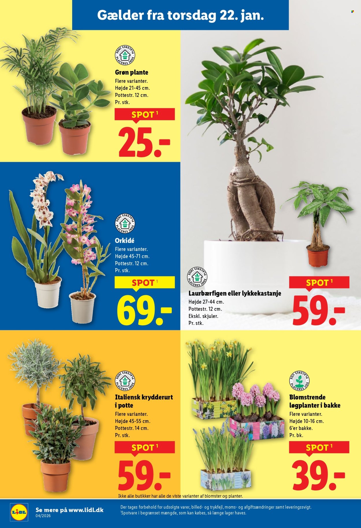Lidl tilbud - 18.1.2026 - 24.1.2026. Side 29