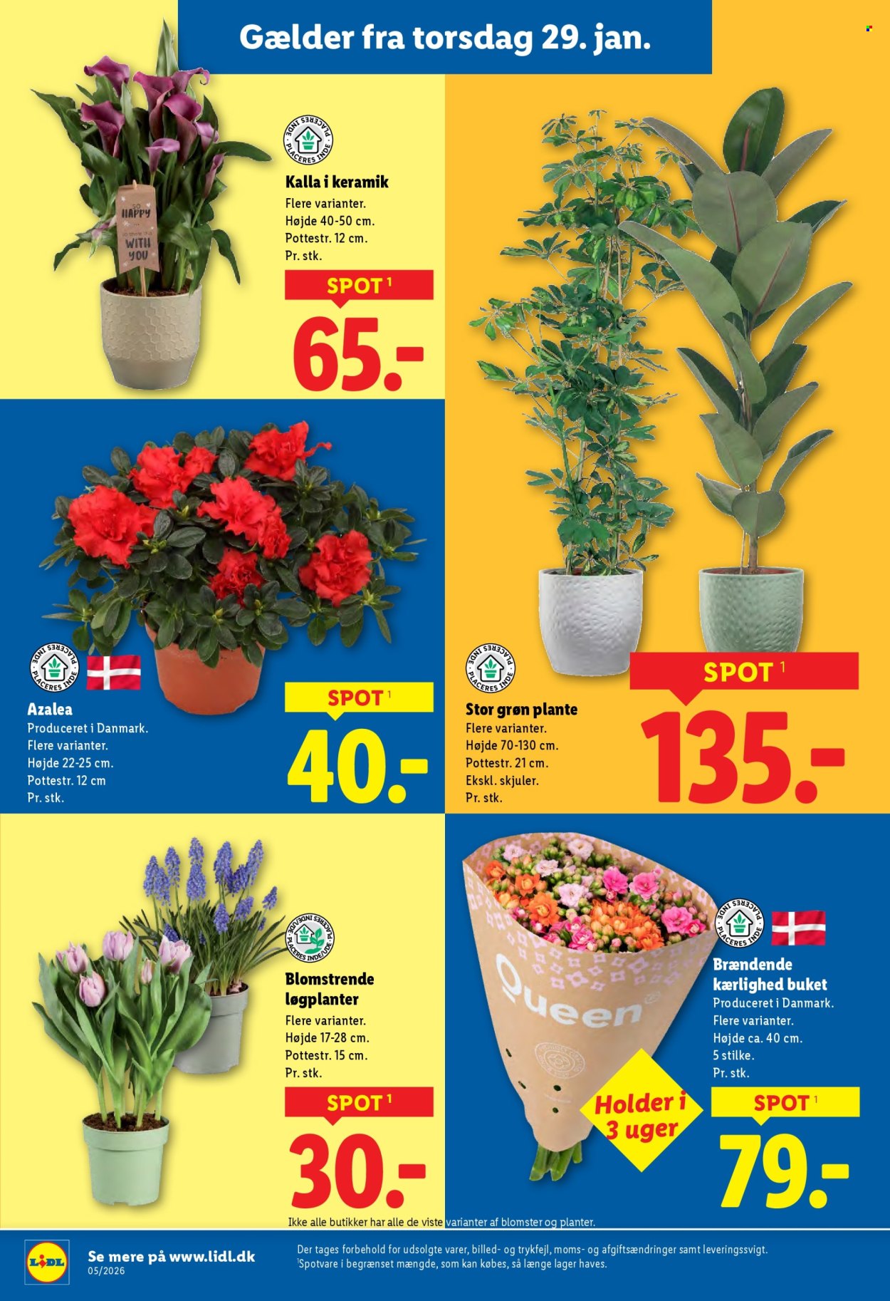 Lidl tilbud - 25.1.2026 - 31.1.2026. Side 32