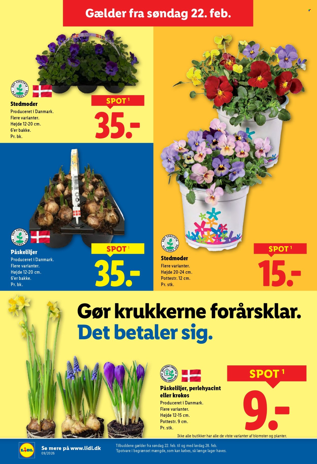 Lidl tilbud - 22.2.2026 - 28.2.2026. Side 33