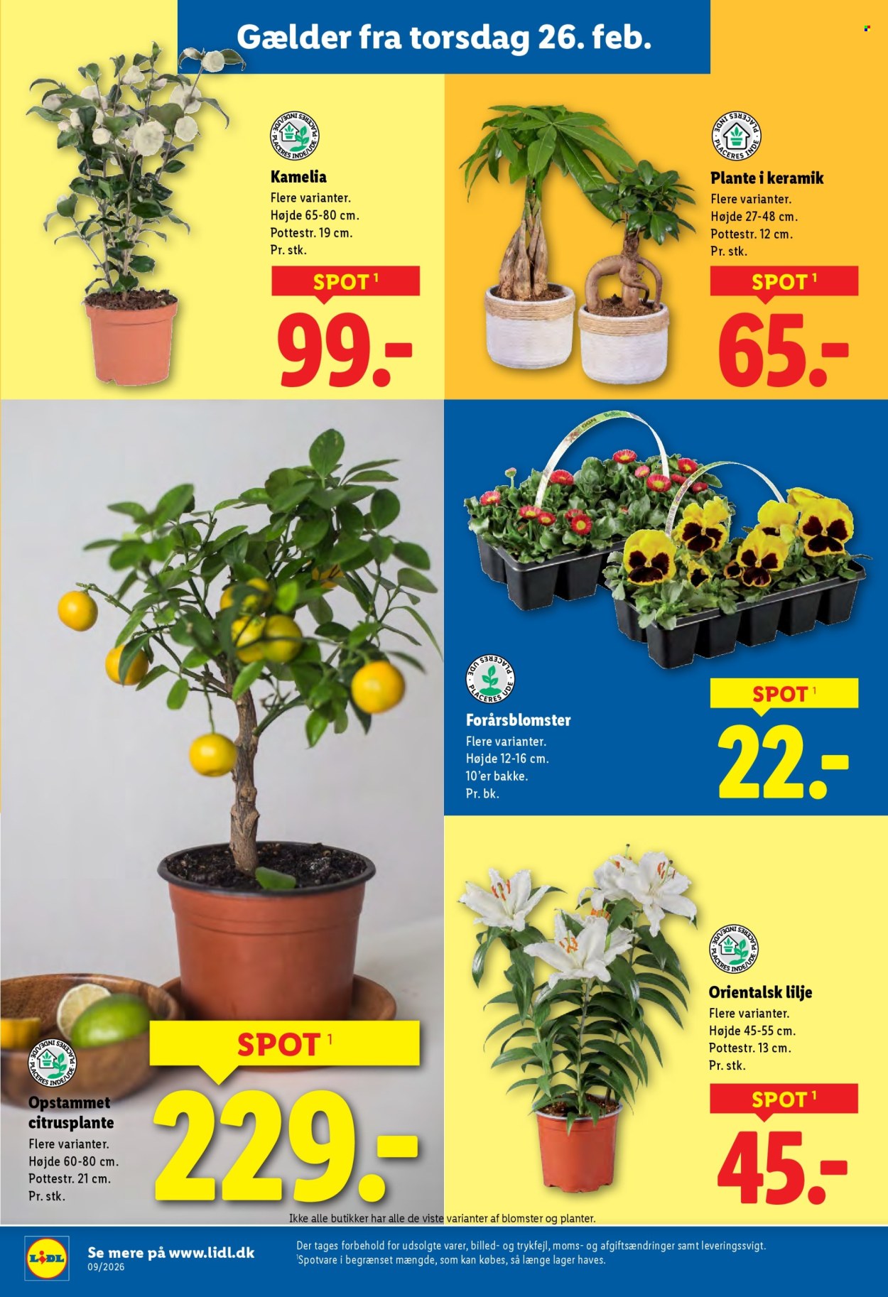 Lidl tilbud - 22.2.2026 - 28.2.2026. Side 34