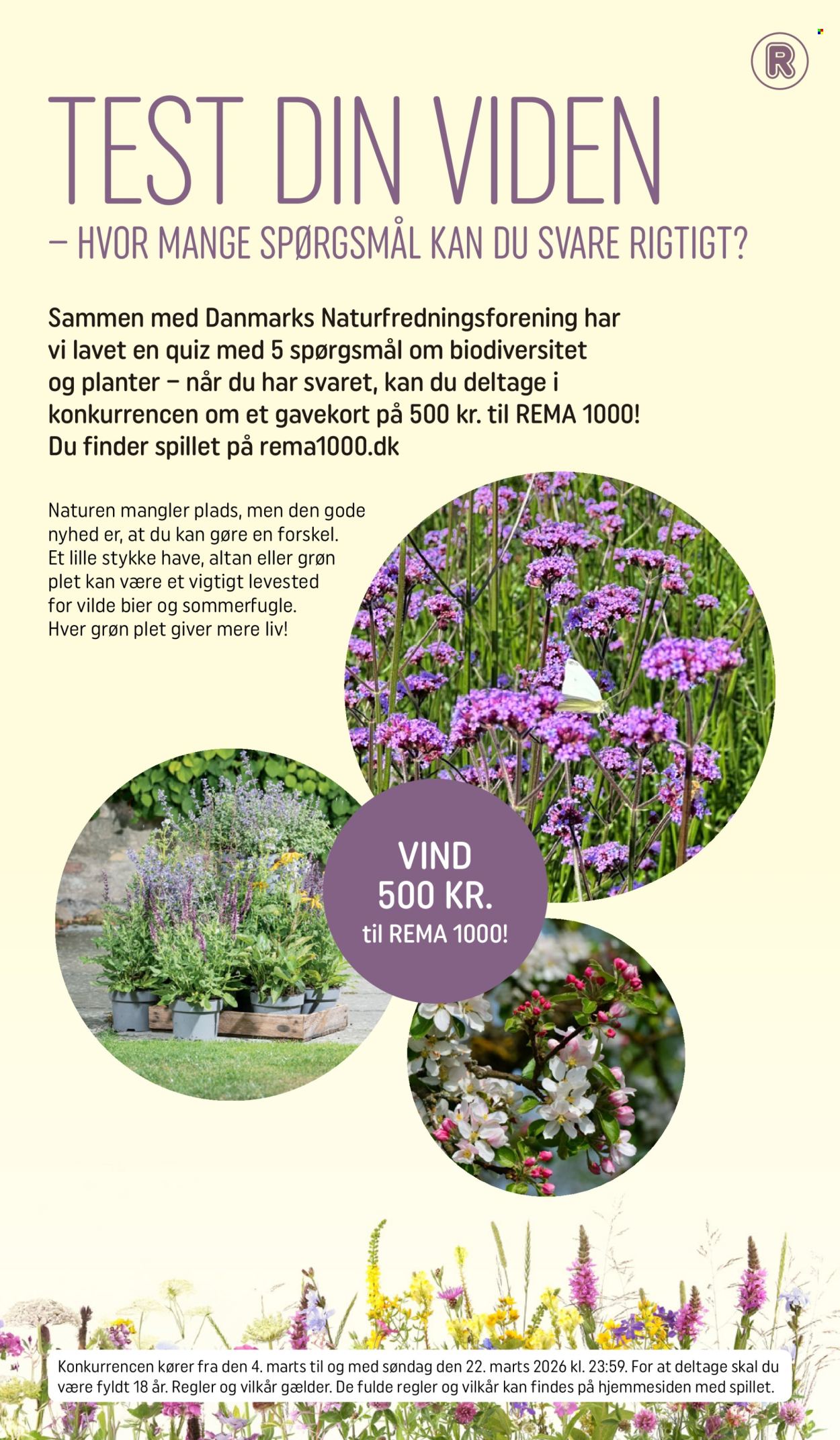 Rema 1000 tilbud - 4.3.2026 - 22.3.2026. Side 12