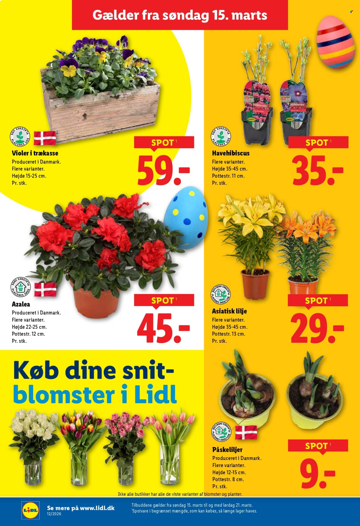 Lidl tilbud - 15.3.2026 - 21.3.2026. Side 30
