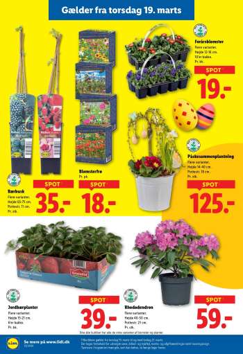thumbnail - Forårsblomster