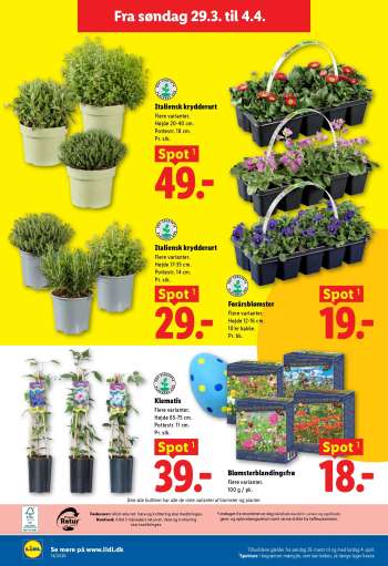 thumbnail - Forårsblomster