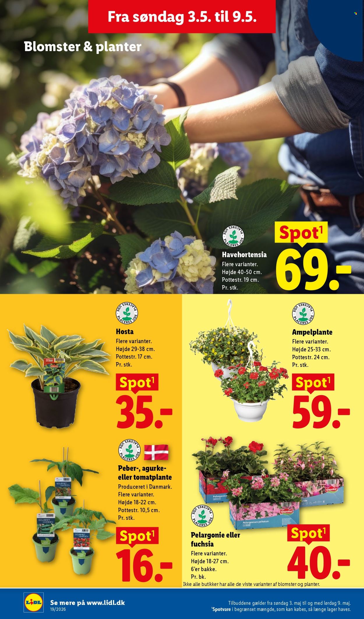 Lidl tilbud - 3.5.2026 - 9.5.2026. Side 26