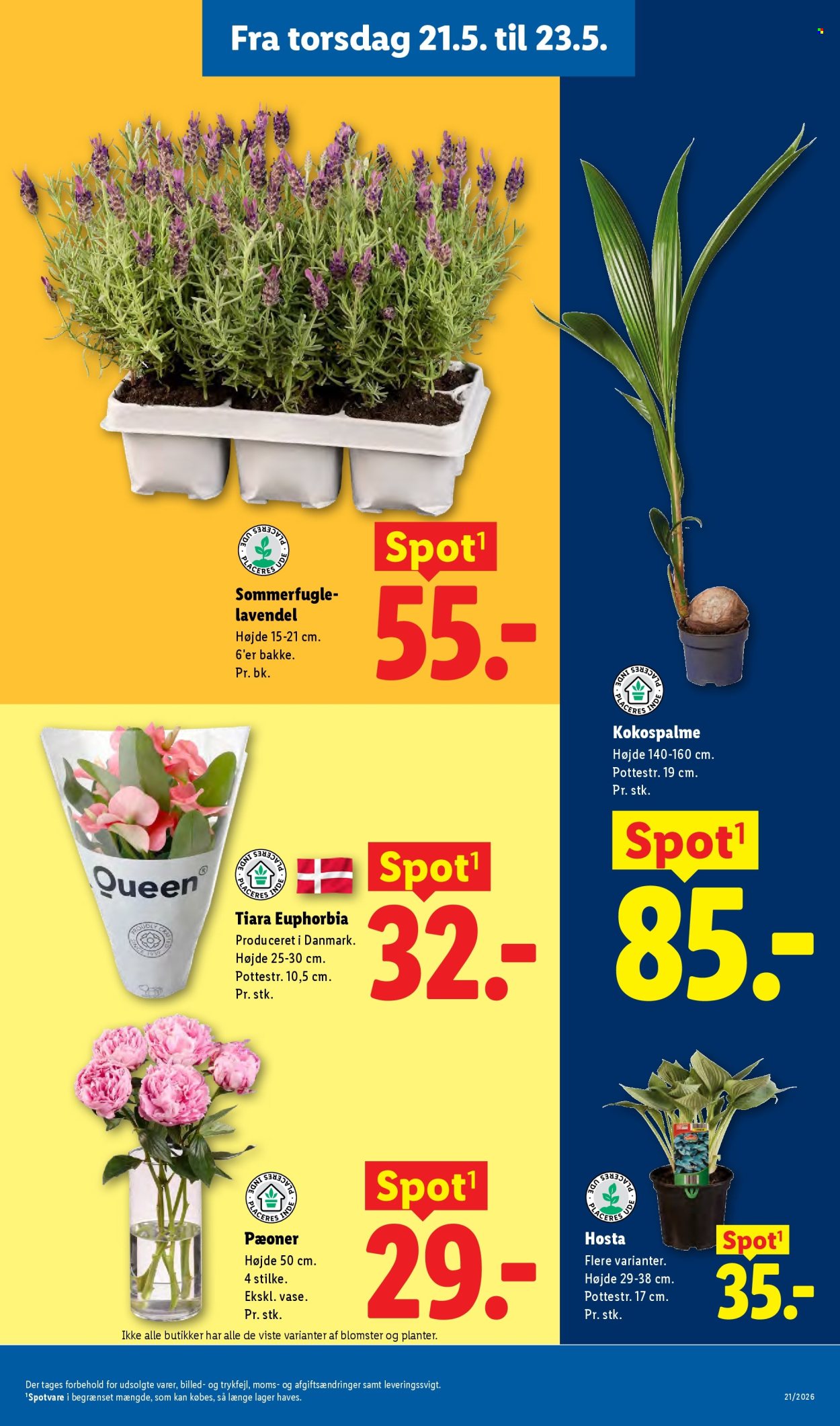 Lidl tilbud - 17.5.2026 - 23.5.2026. Side 32
