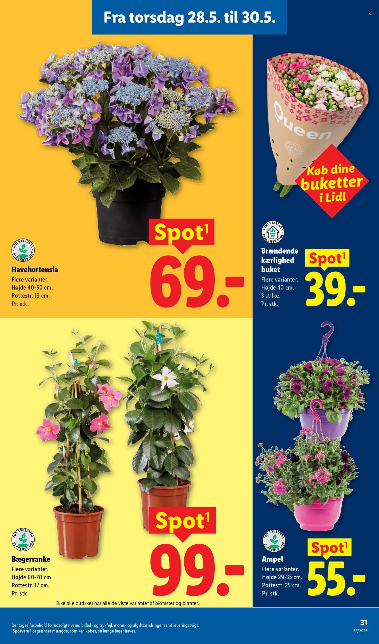 Lidl tilbud - 26.5.2026 - 30.5.2026. Side 37