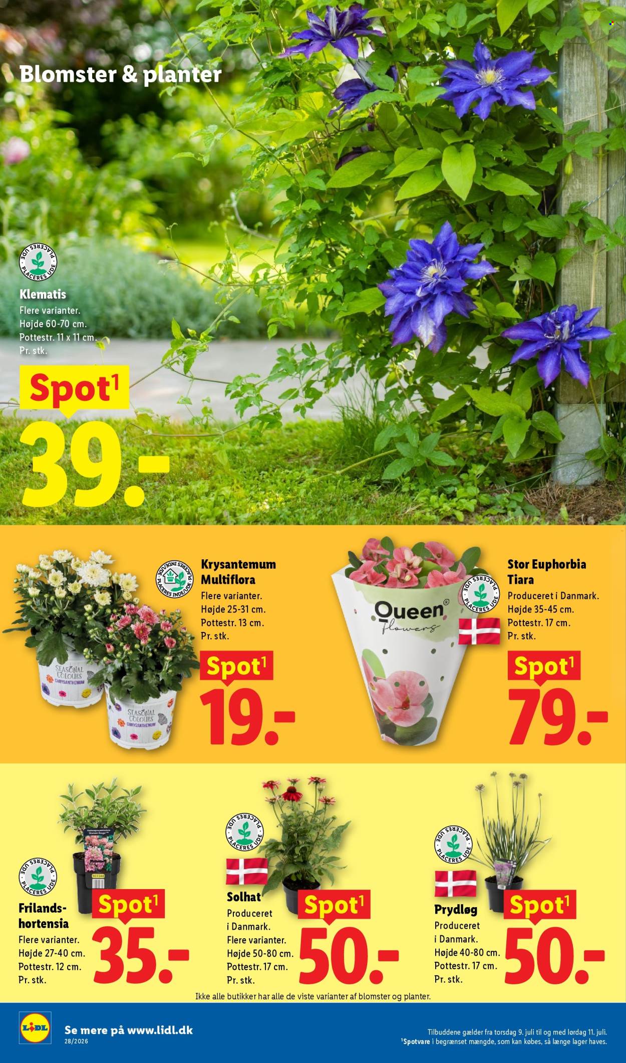 Lidl tilbud - 5.7.2026 - 11.7.2026. Side 35