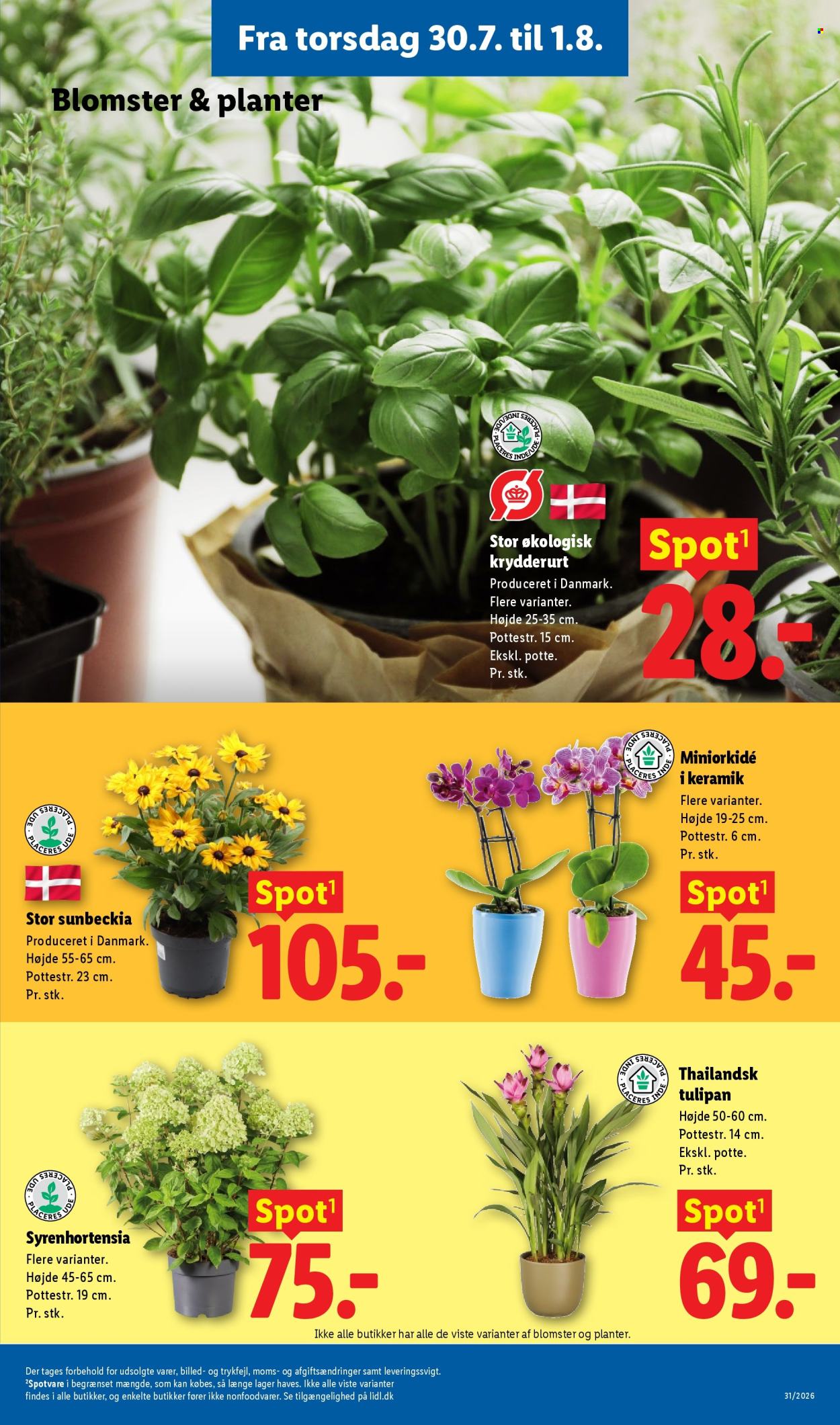 Lidl tilbud - 26.7.2026 - 1.8.2026. Side 36