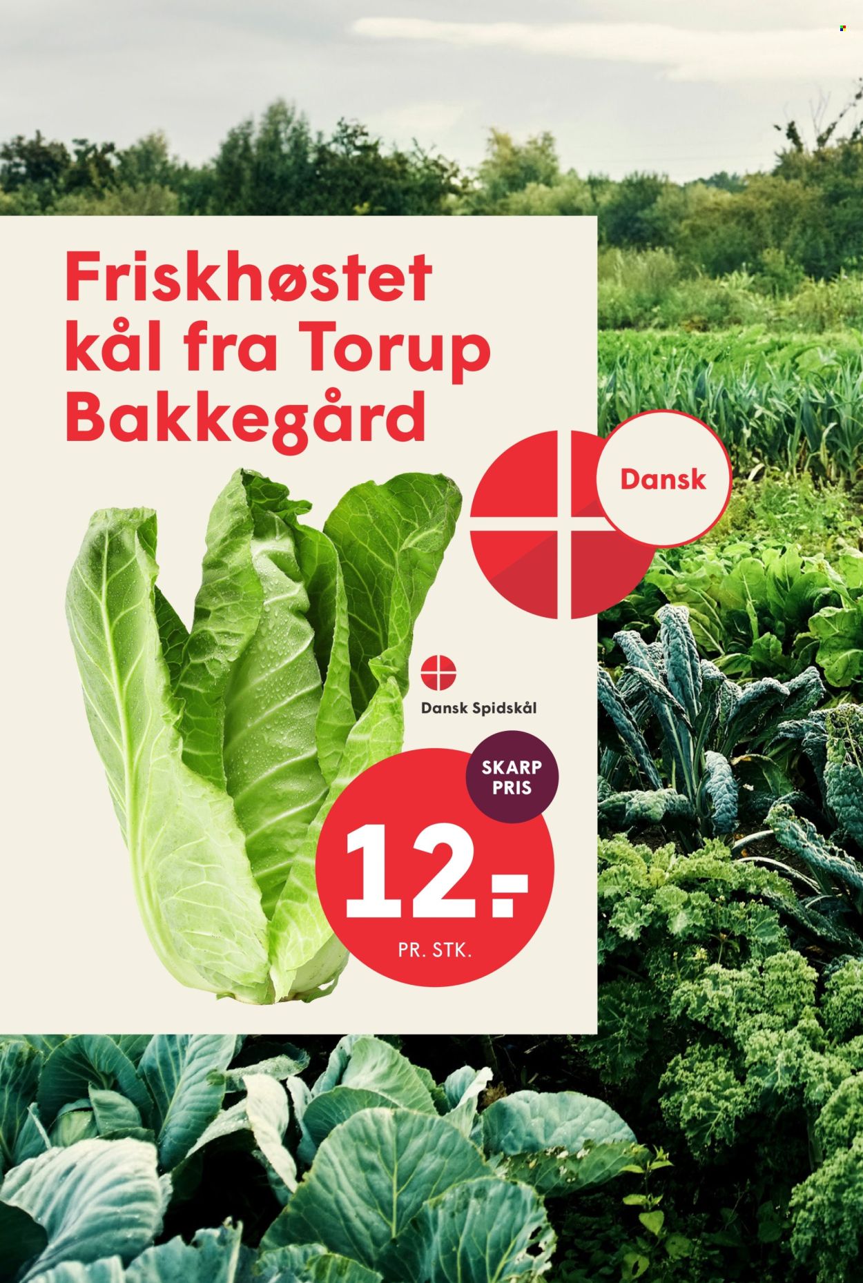 SPAR tilbud - 7.8.2026 - 13.8.2026. Side 11