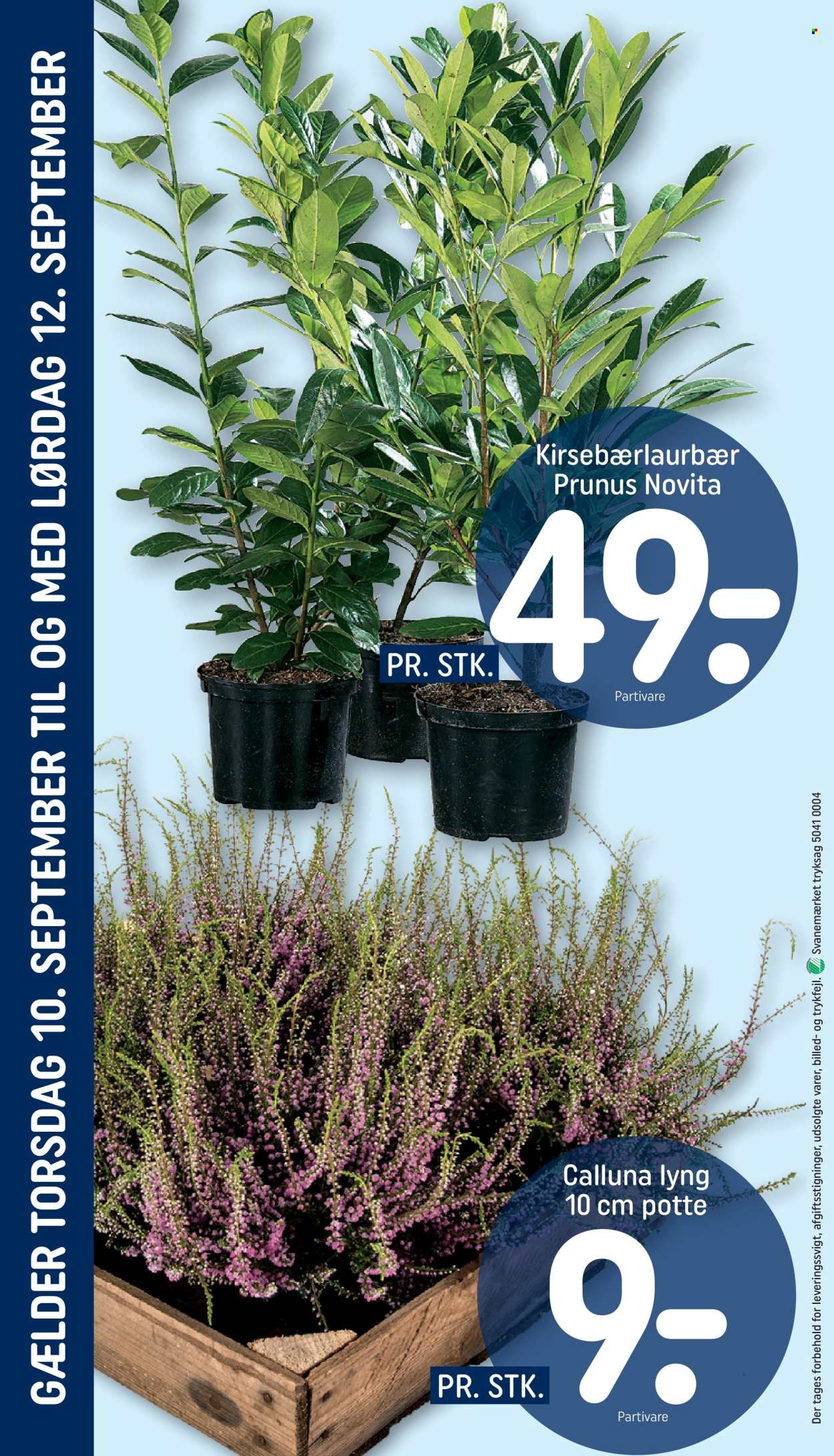 Rema 1000 tilbud - 6.9.2026 - 12.9.2026. Side 30