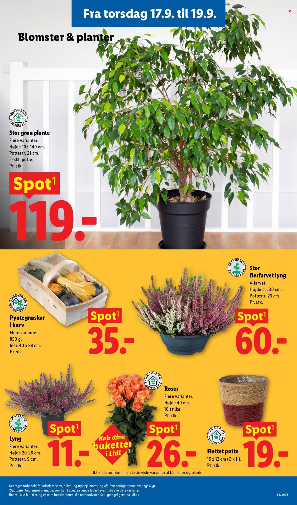 Lidl tilbud - 13.9.2026 - 19.9.2026. Side 25