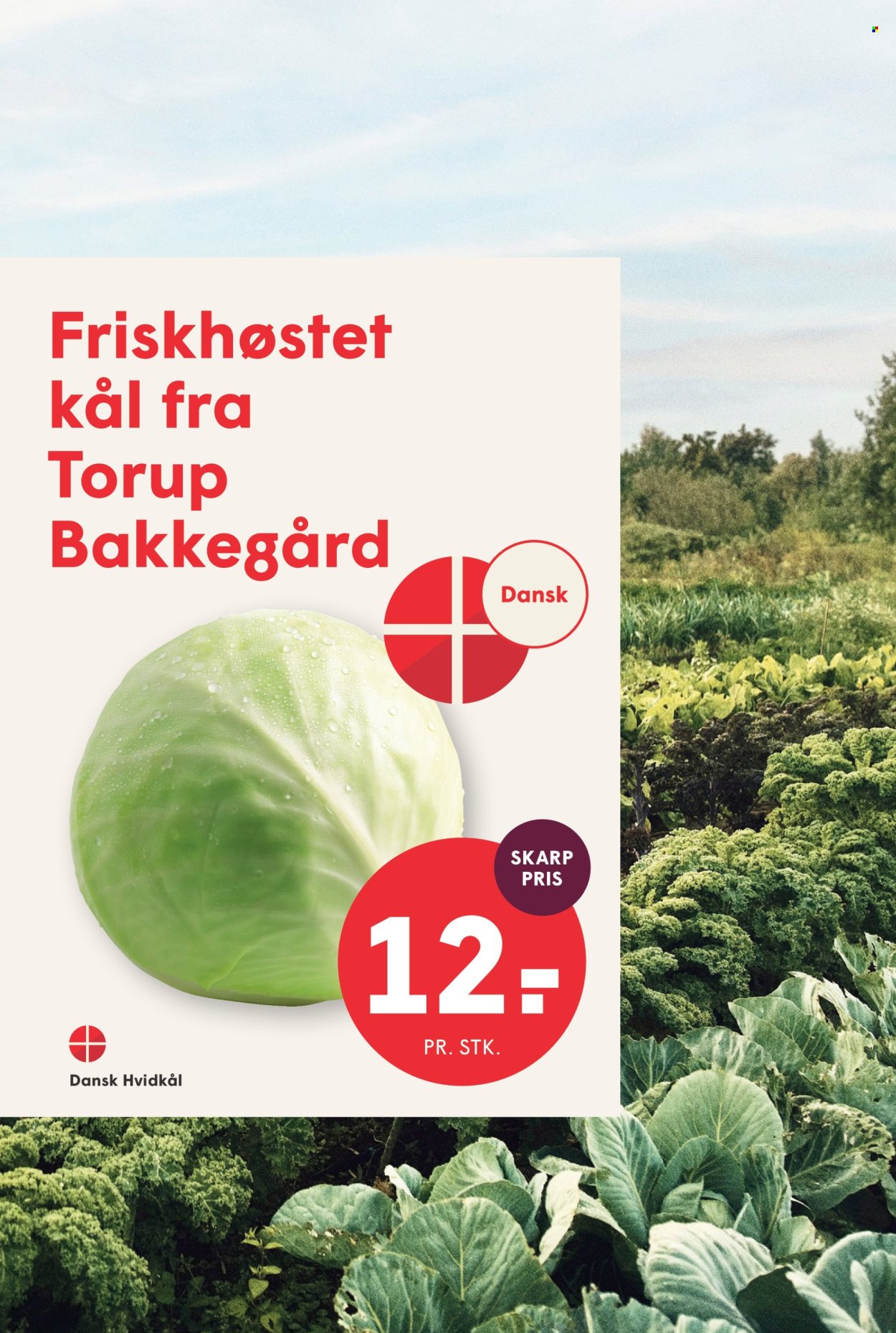 SPAR tilbud - 9.10.2026 - 15.10.2026. Side 5
