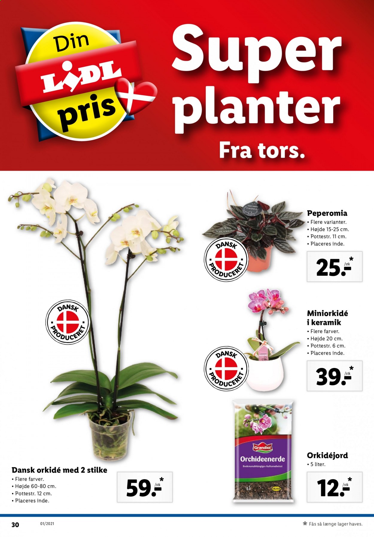 Lidl tilbud - 2.1.2021 - 9.1.2021. Side 32