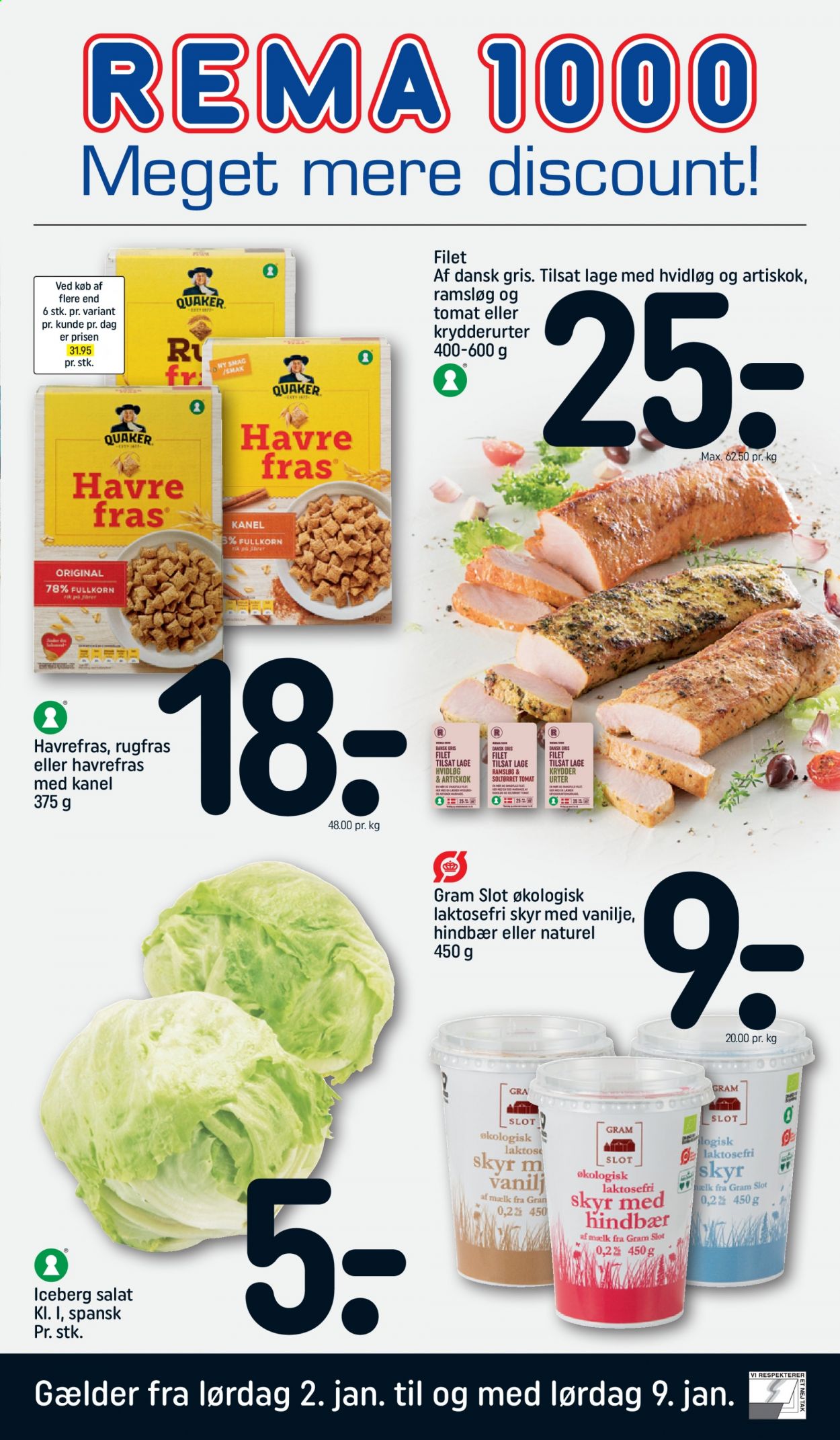 thumbnail - Rema 1000 tilbud  - 2.1.2021 - 9.1.2021 - tilbudsprodukter - hindbær, hvidløg, iceberg salat, tomat, salat, skyr, vanilje, ramsløg. Side 1.