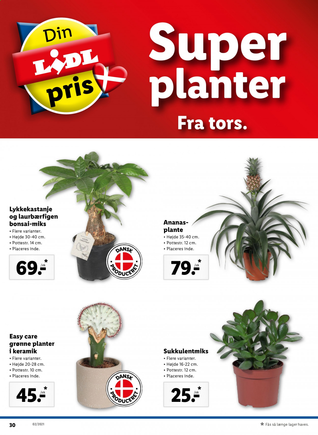 Lidl tilbud - 10.1.2021 - 16.1.2021. Side 40
