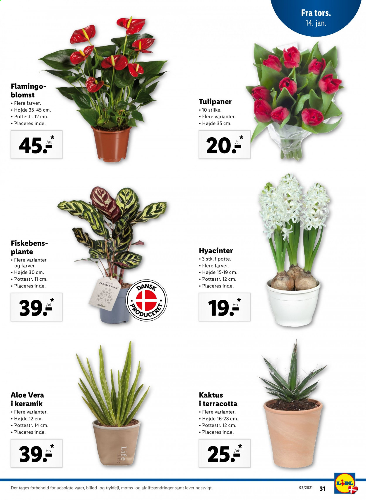 Lidl tilbud - 10.1.2021 - 16.1.2021. Side 41