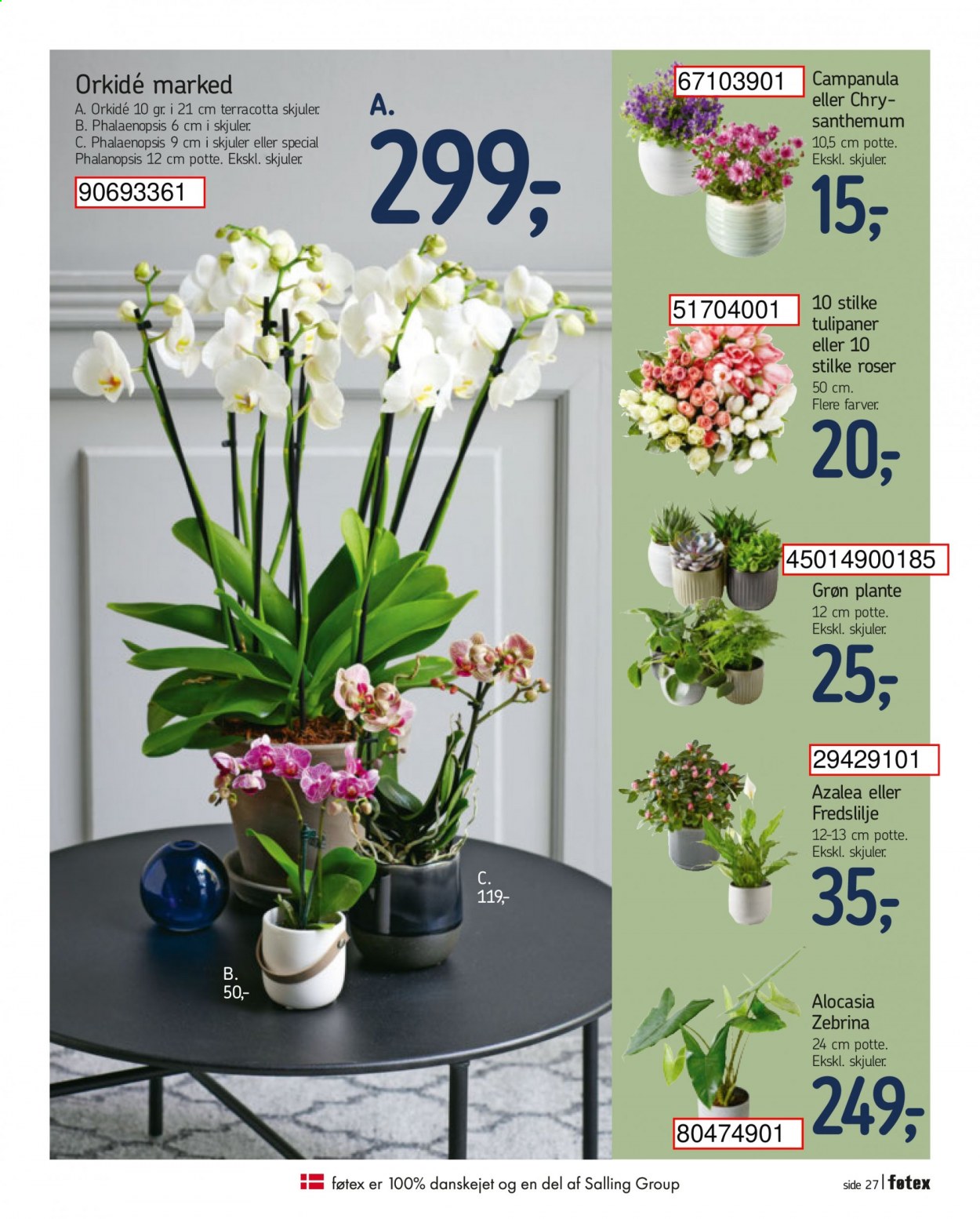 føtex tilbud - 15.1.2021 - 21.1.2021. Side 29