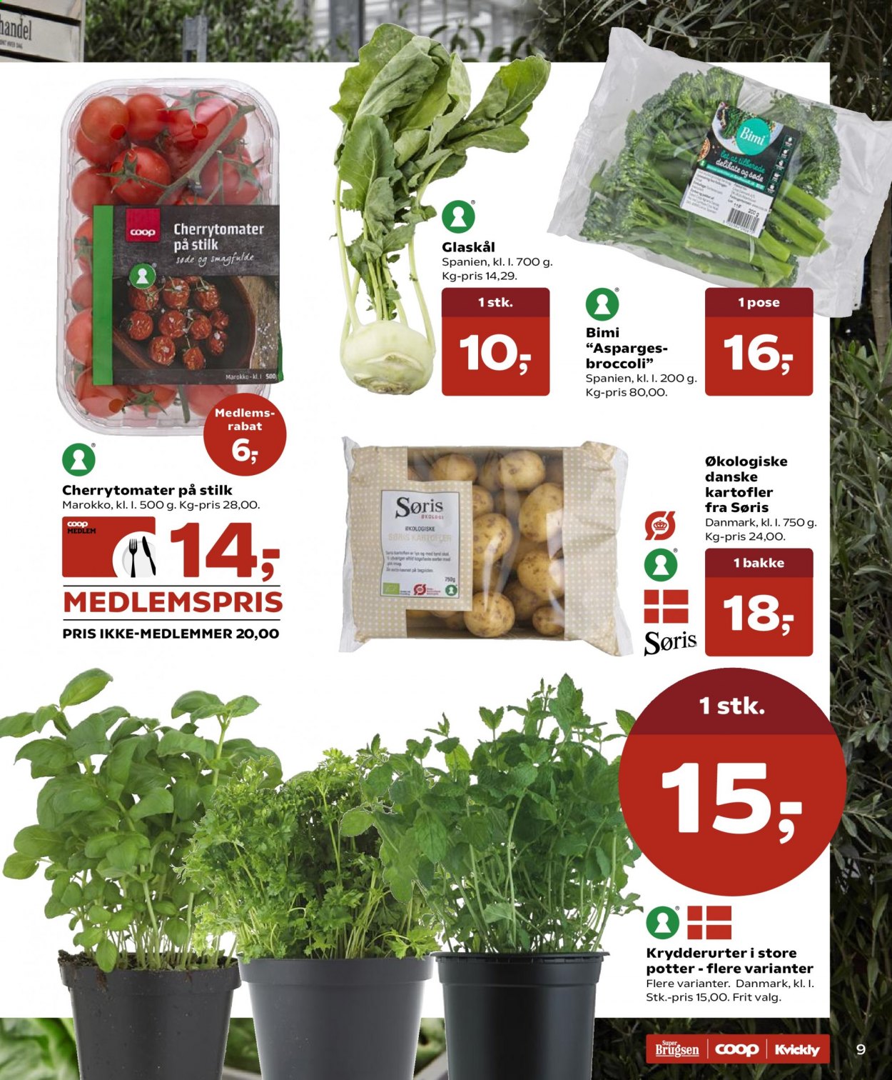 thumbnail - Kvickly tilbud  - 22.1.2021 - 28.1.2021 - tilbudsprodukter - asparges, broccoli, glaskål, cherrytomater, kartofler. Side 9.
