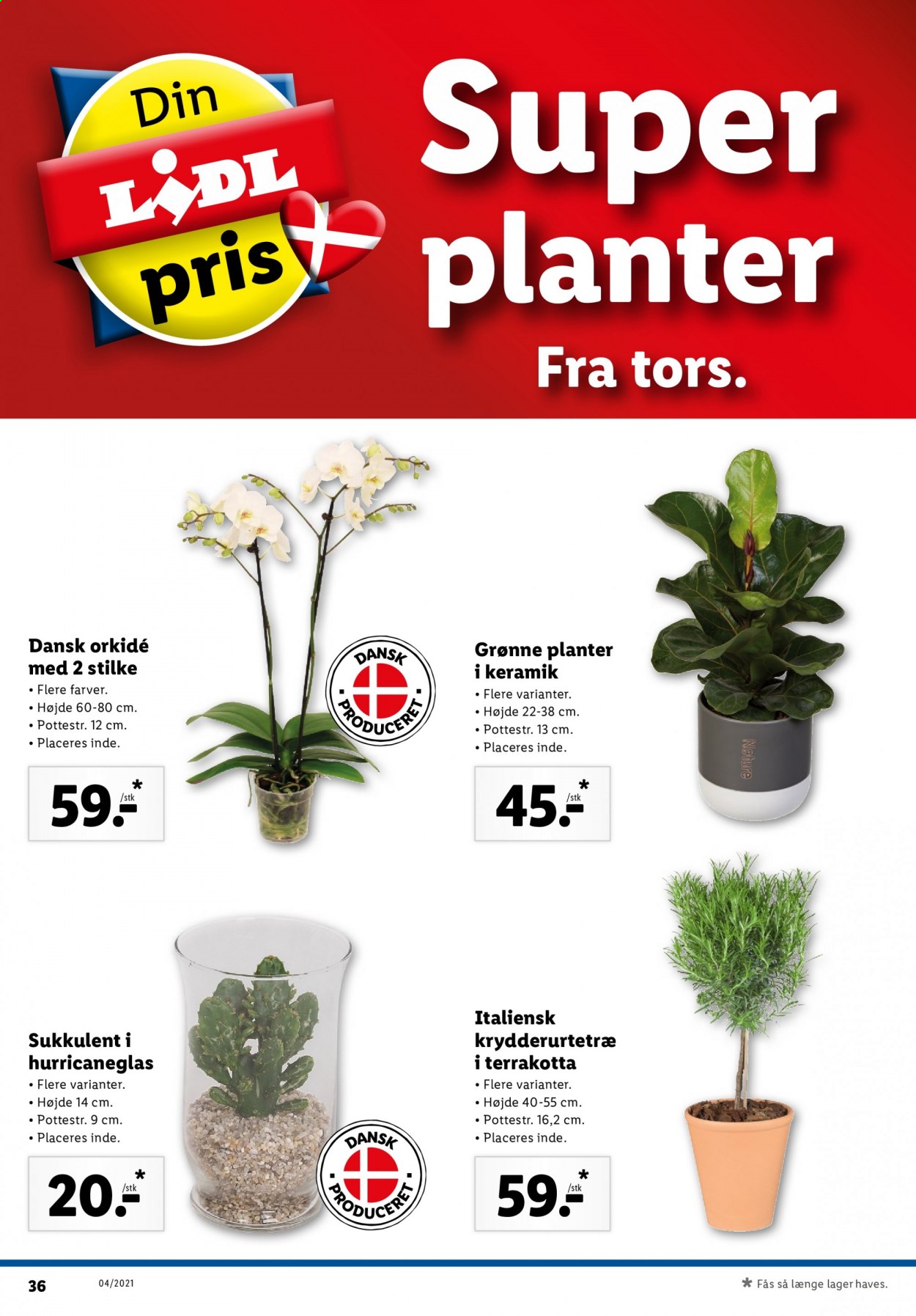 Lidl tilbud - 24.1.2021 - 30.1.2021. Side 40