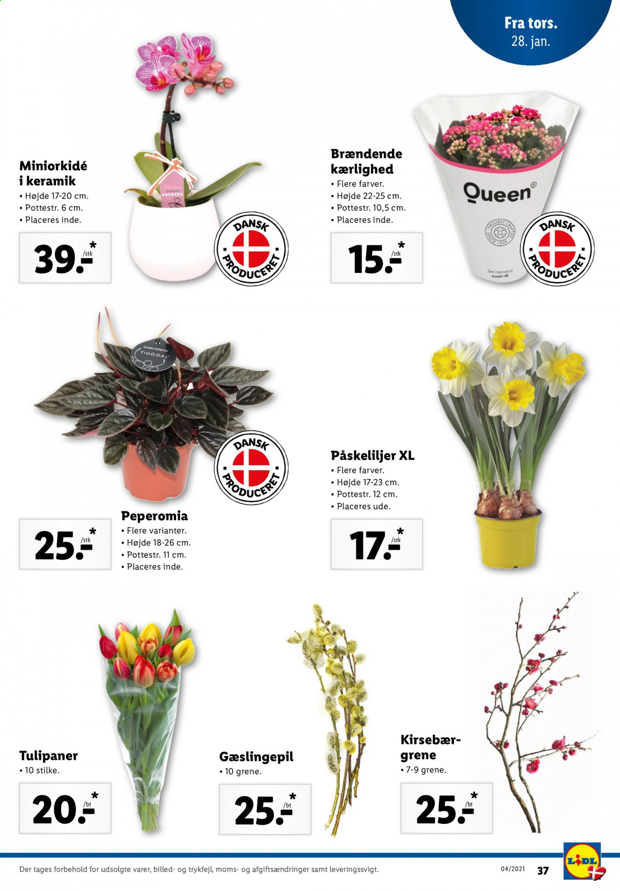 Lidl tilbud - 24.1.2021 - 30.1.2021. Side 41