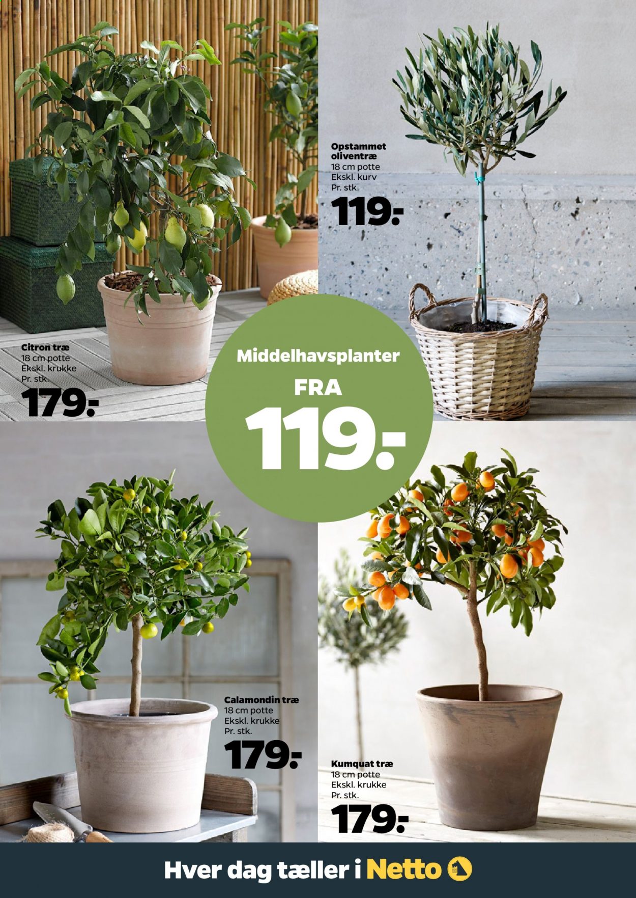 Netto tilbud - 30.1.2021 - 5.2.2021. Side 32