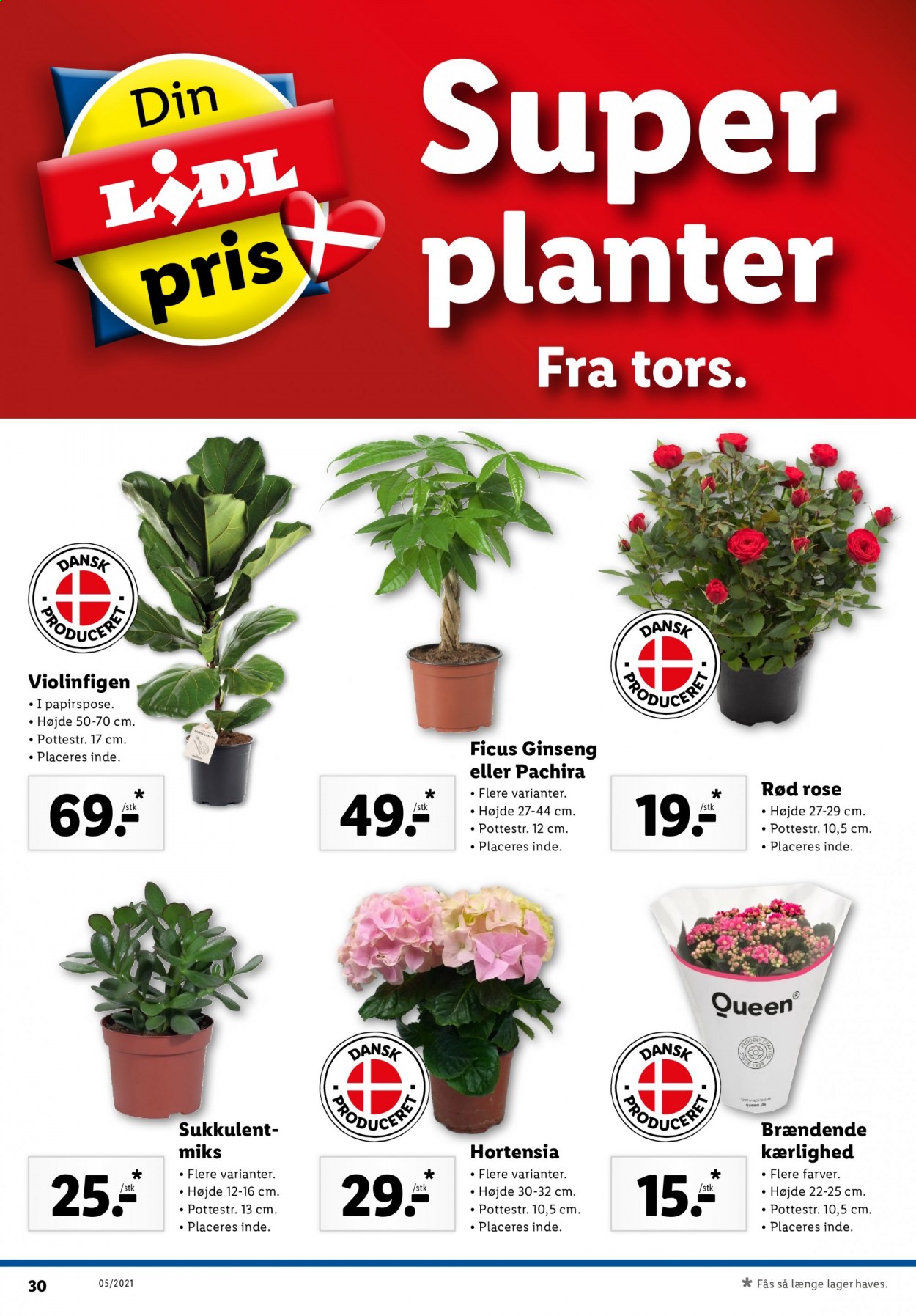 Lidl tilbud - 31.1.2021 - 6.2.2021. Side 36