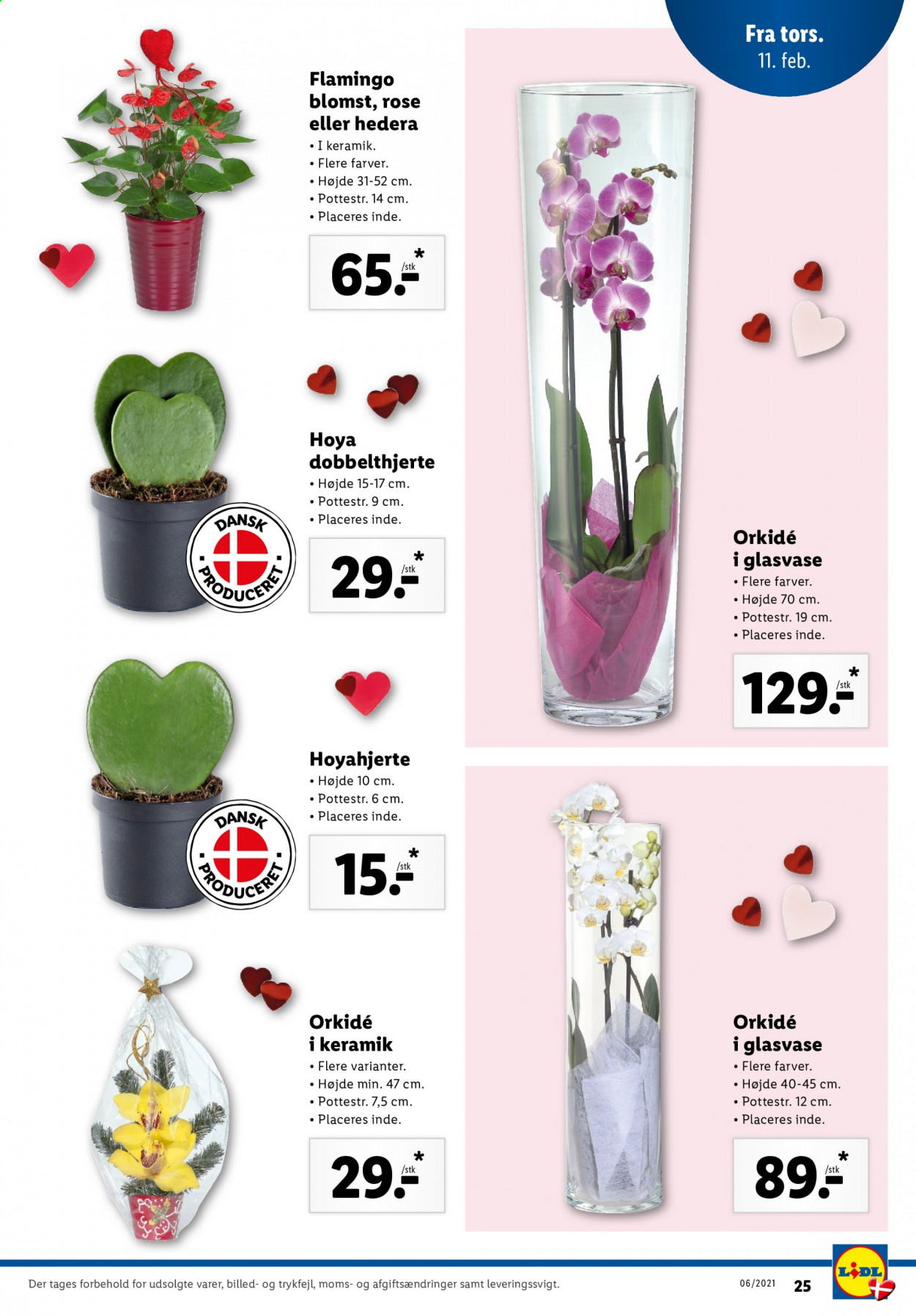 Lidl tilbud - 7.2.2021 - 13.2.2021. Side 27