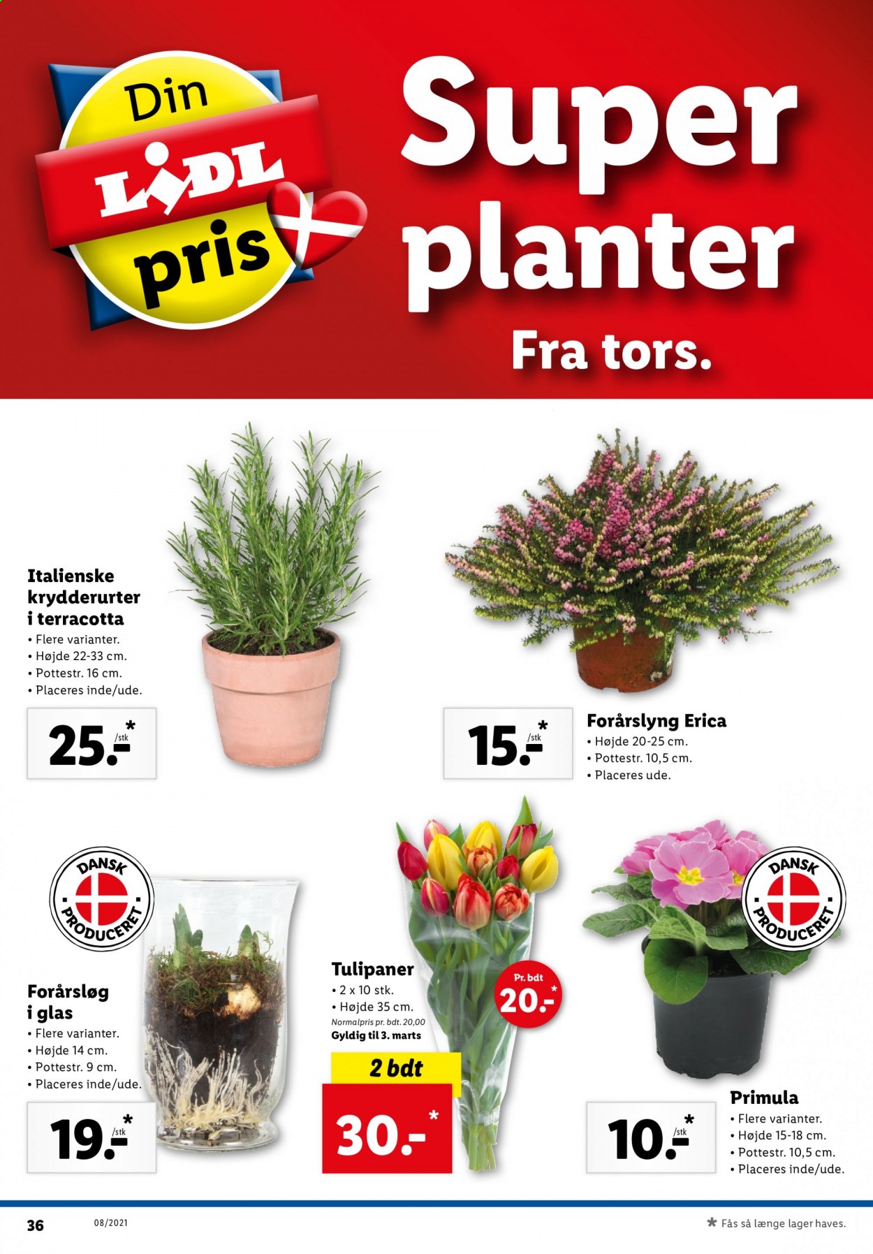 Lidl tilbud - 21.2.2021 - 27.2.2021. Side 36