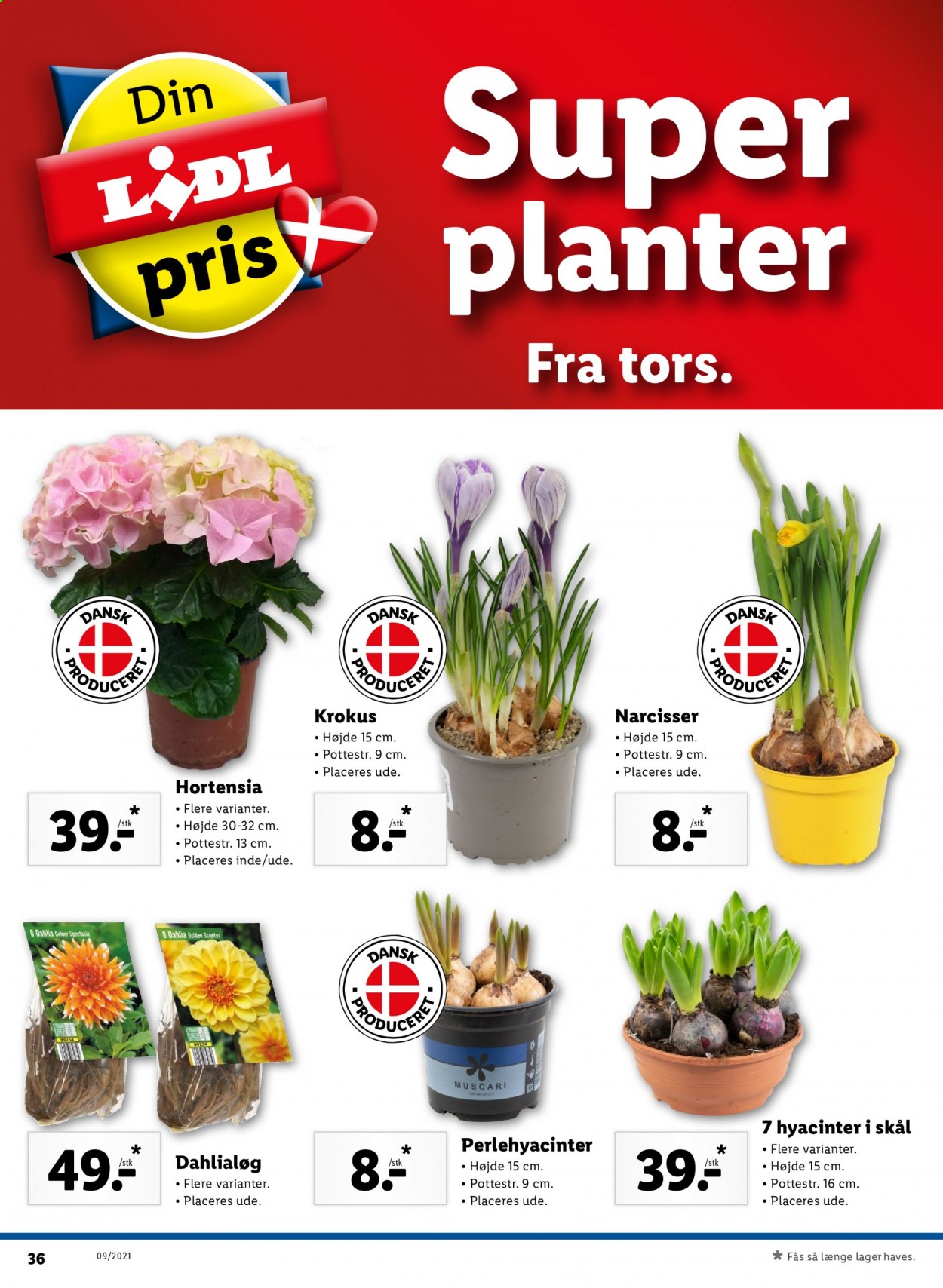 Lidl tilbud - 28.2.2021 - 6.3.2021. Side 44