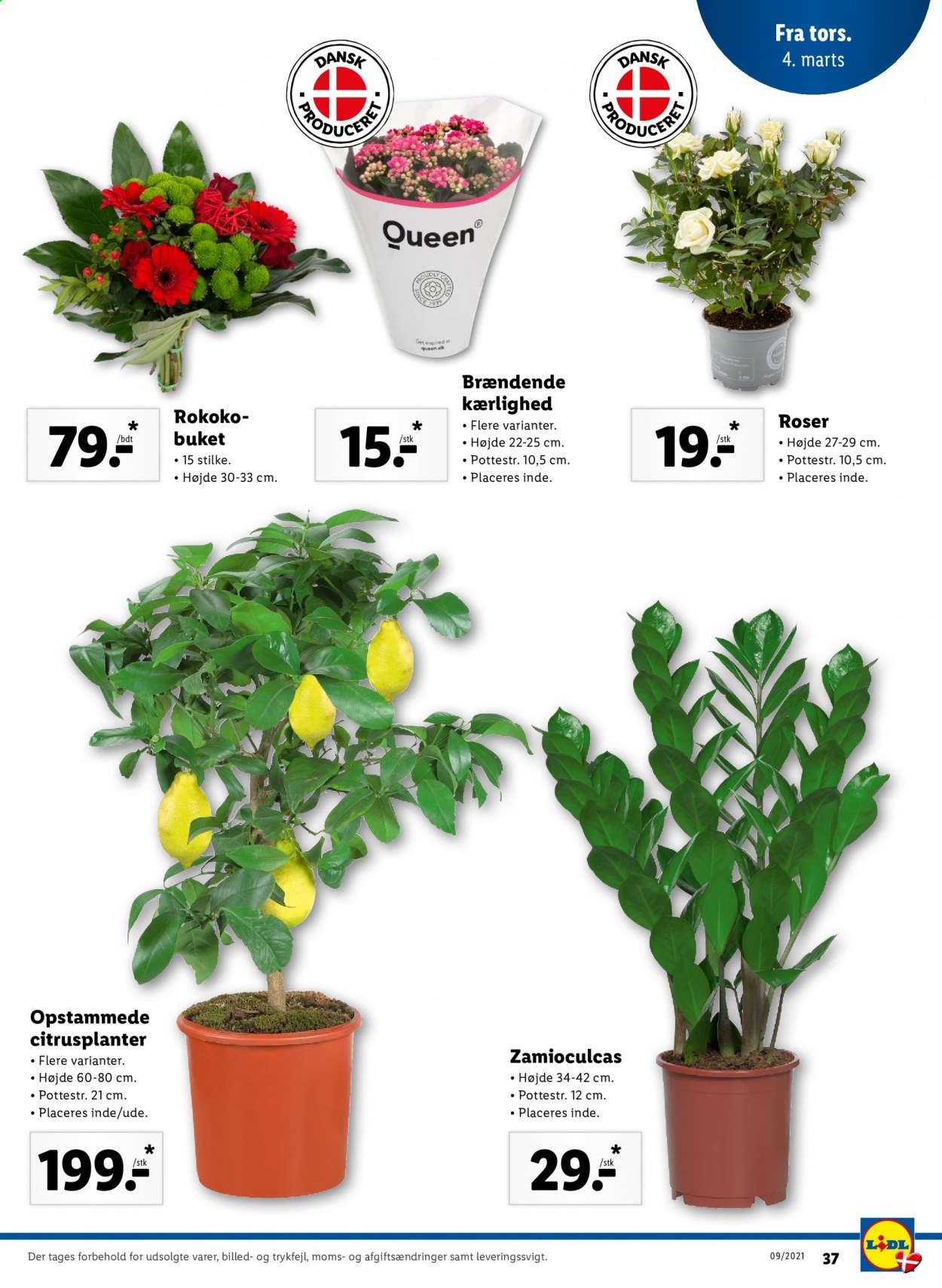 Lidl tilbud - 28.2.2021 - 6.3.2021. Side 45